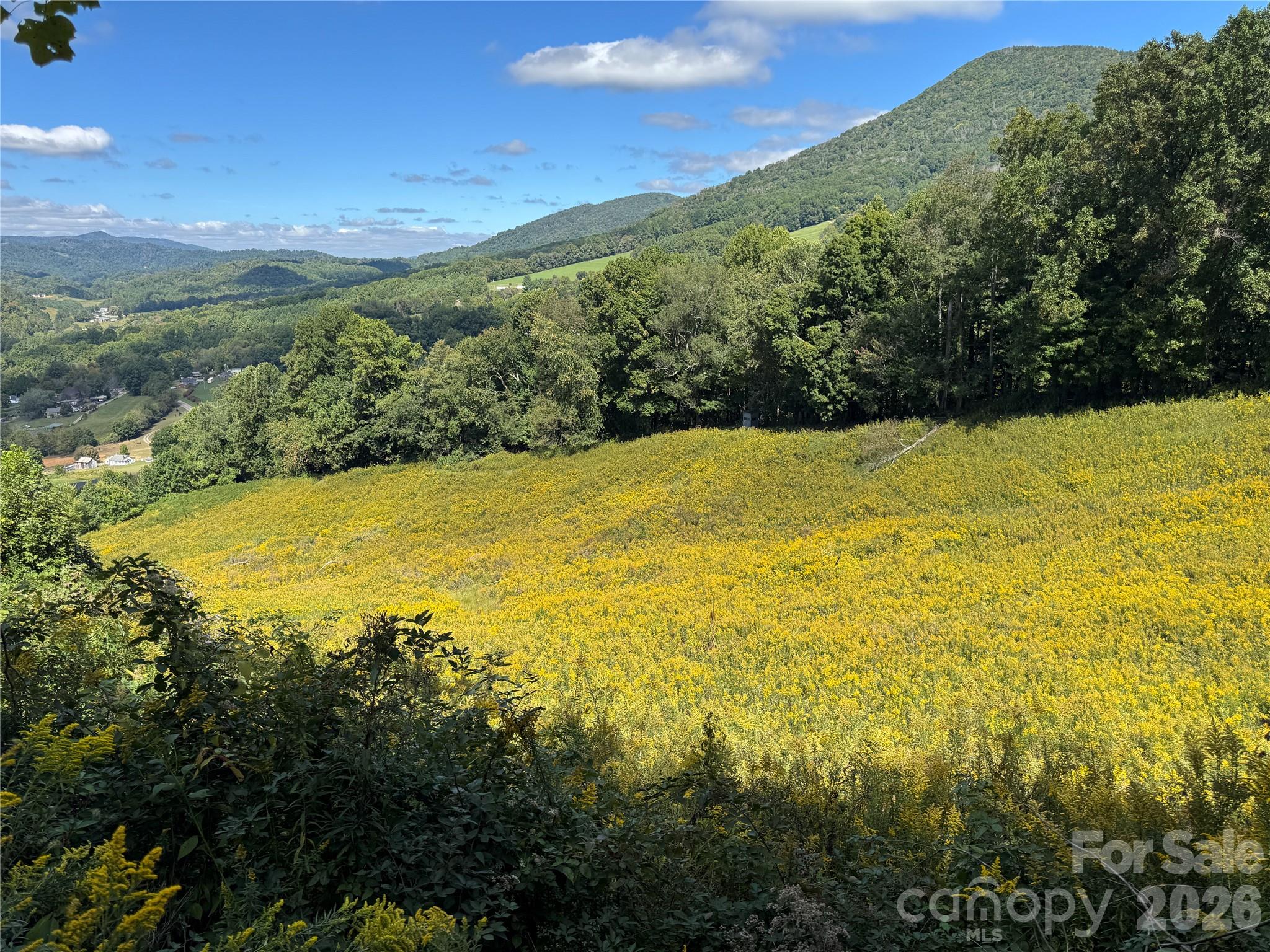 840 Ed Williams Road Property Photo 13