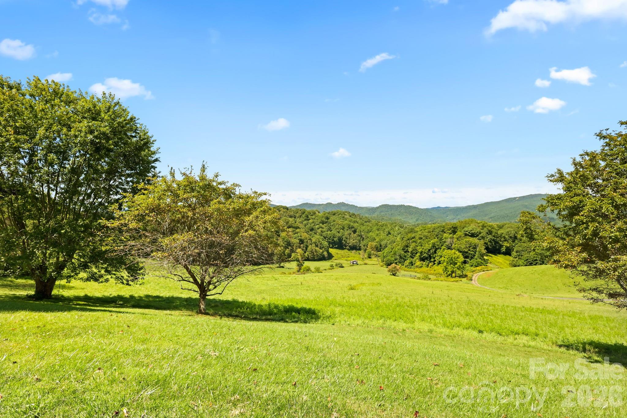 840 Ed Williams Road Property Photo 17