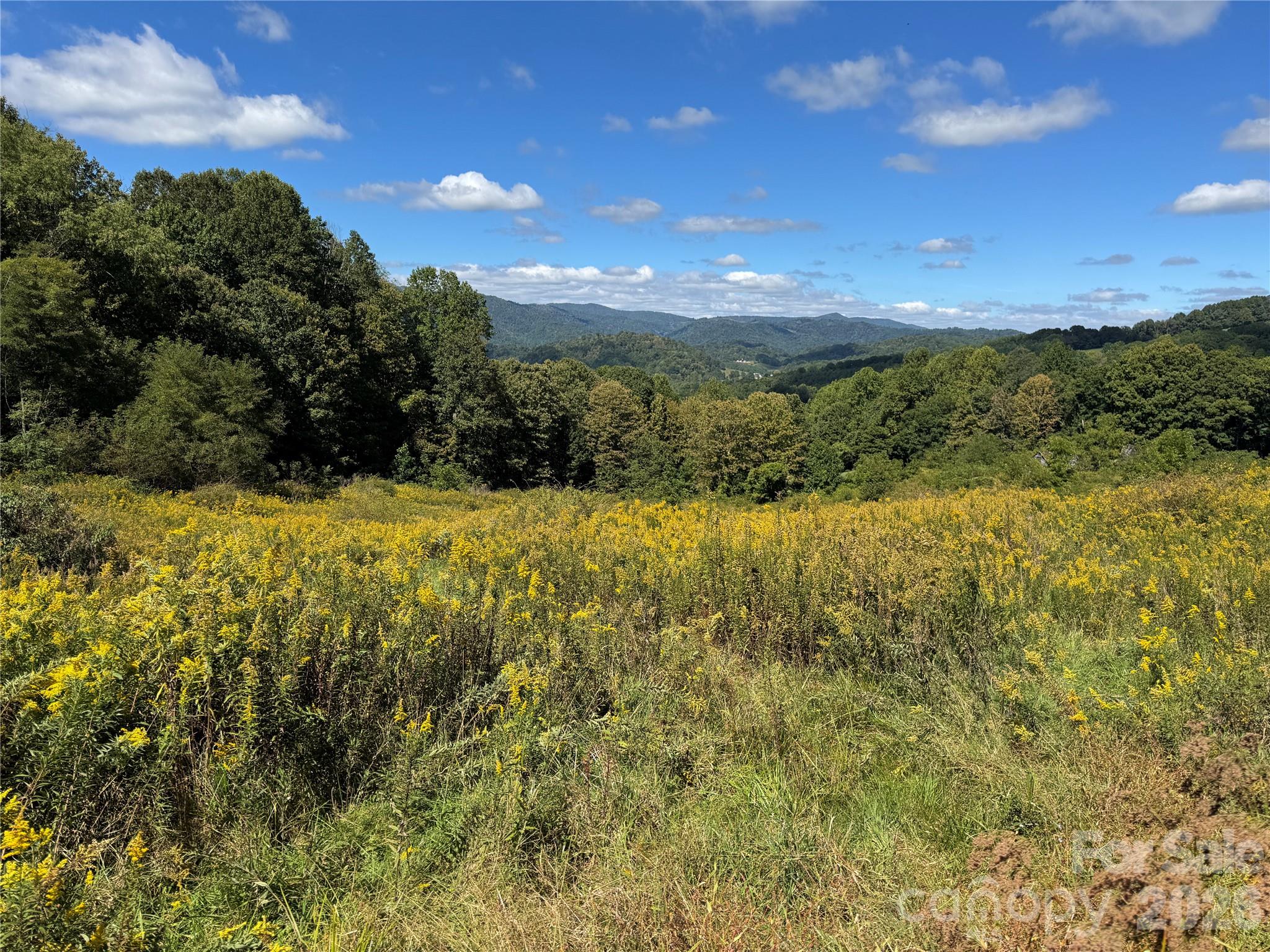 840 Ed Williams Road Property Photo 18