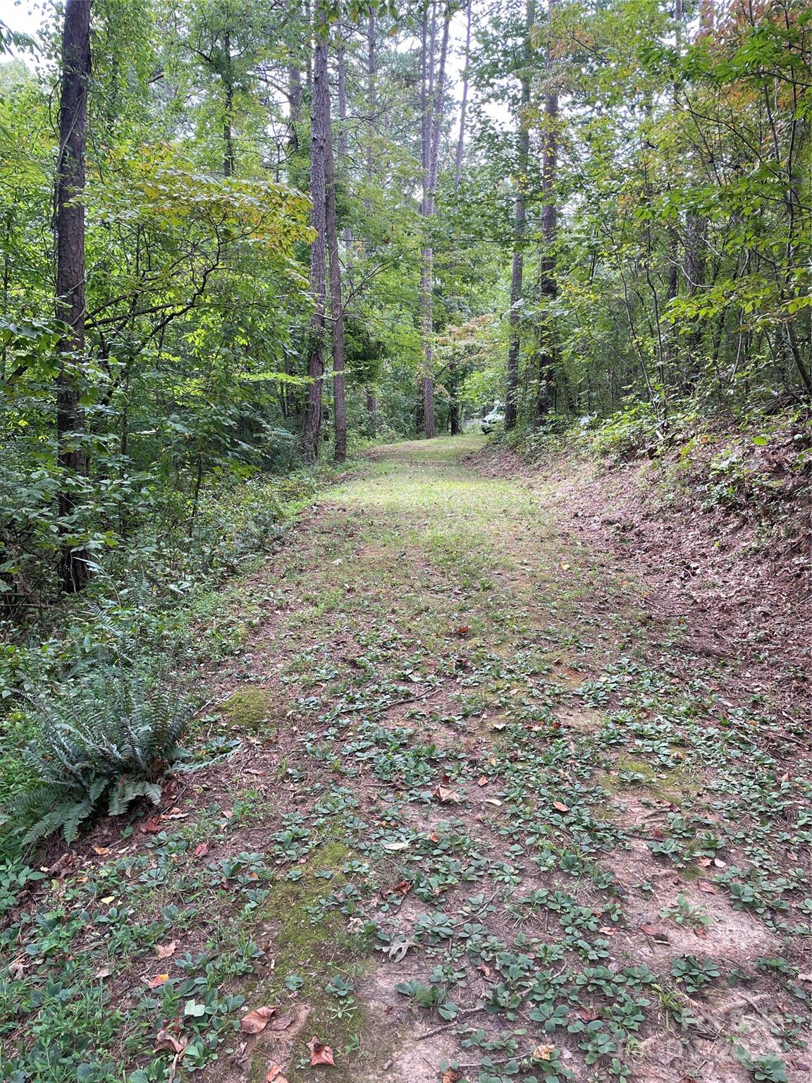 99999 Monticello Road Property Photo 3