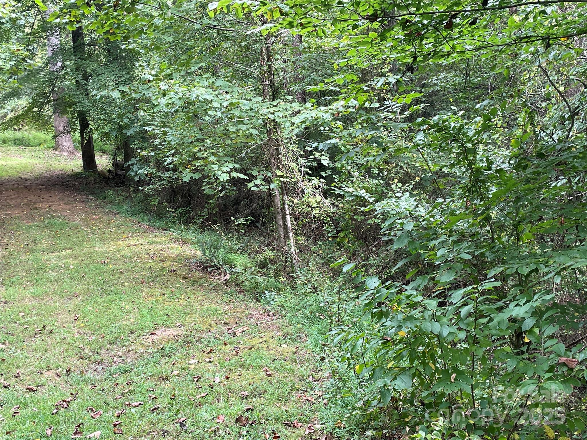 99999 Monticello Road Property Photo 4