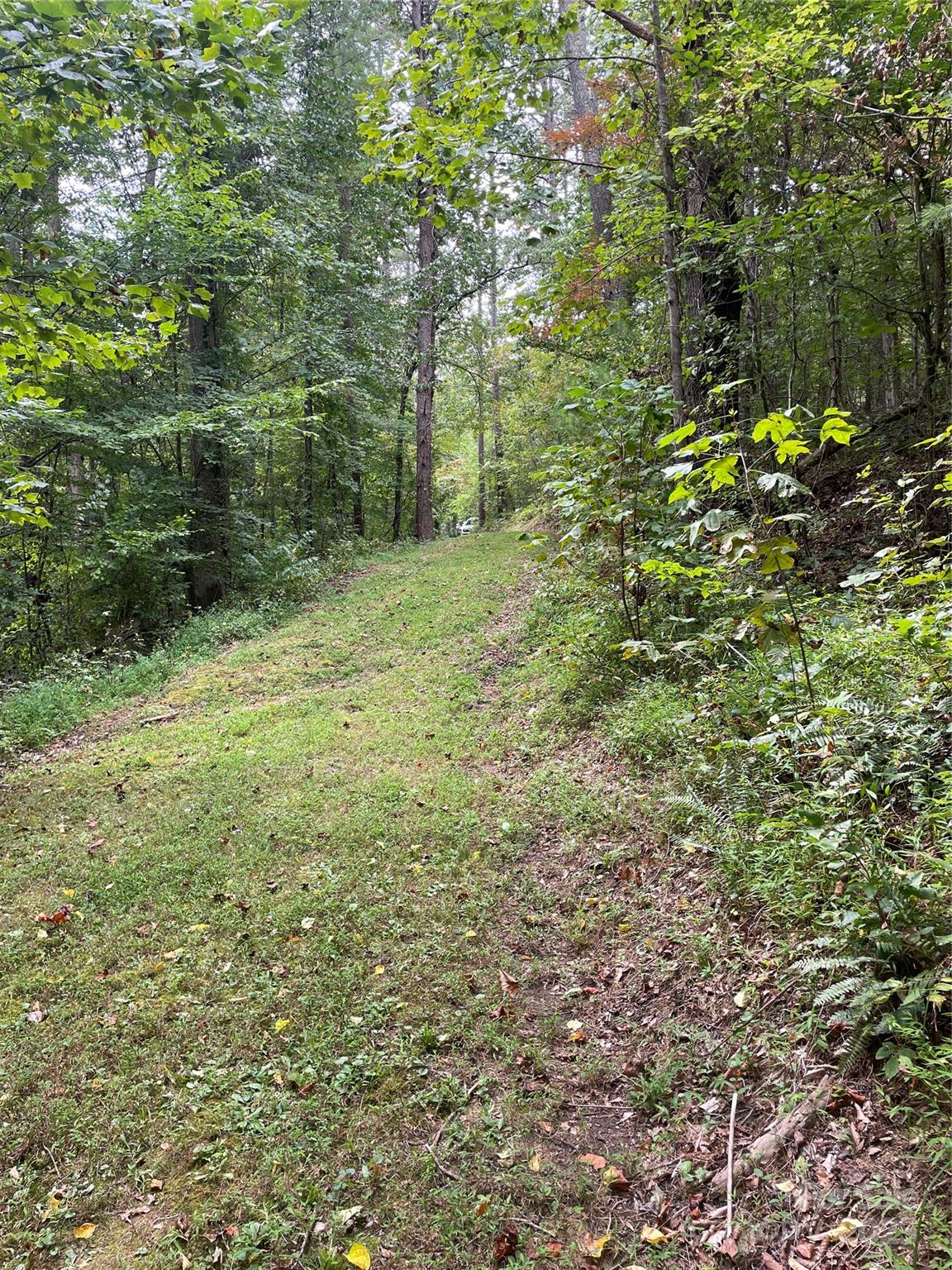 99999 Monticello Road Property Photo 5