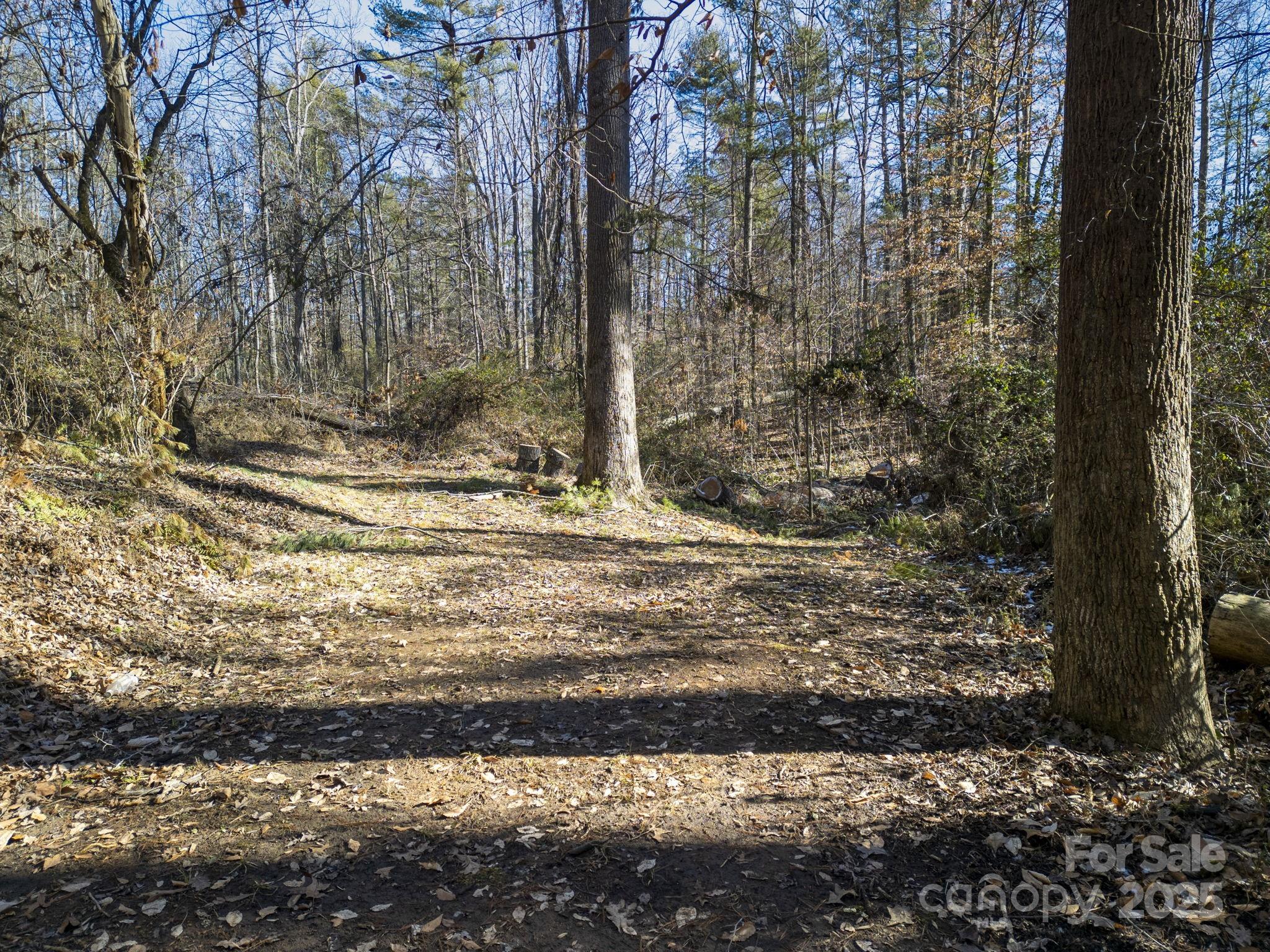 99999 Monticello Road Property Photo 8