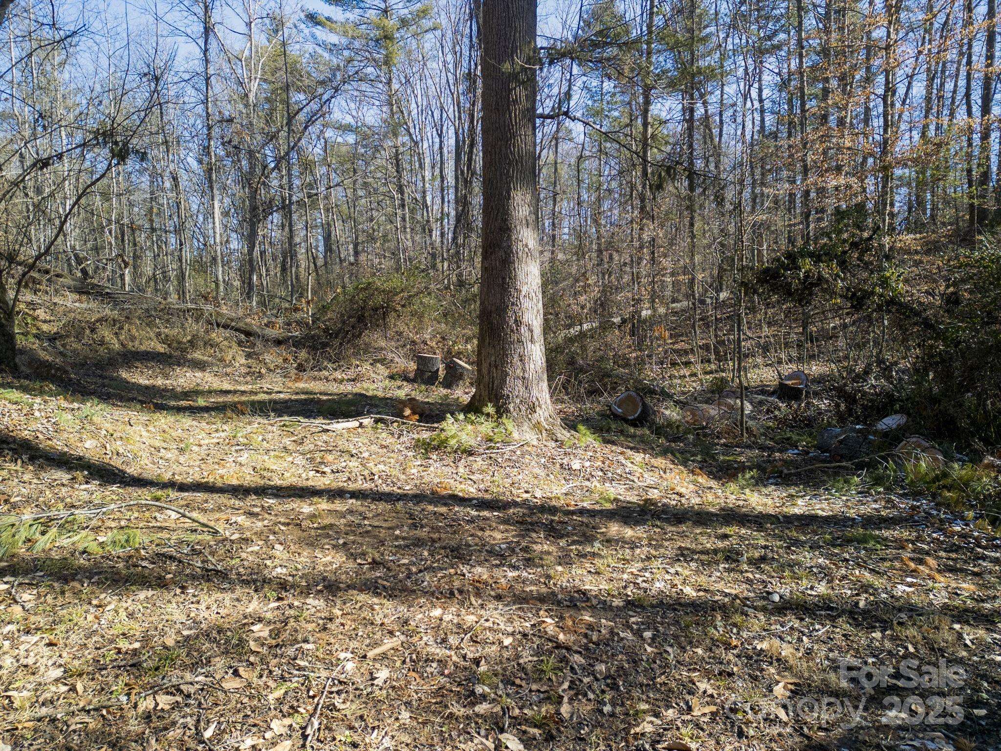99999 Monticello Road Property Photo 9