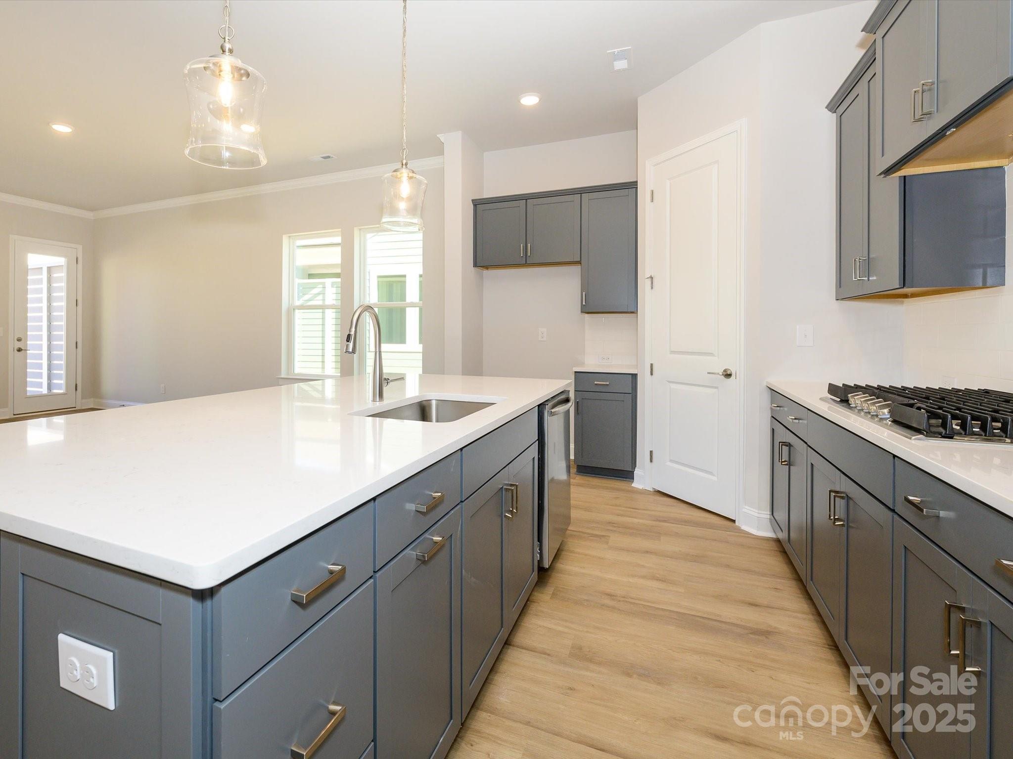 1110 Lowland Way Property Photo 4