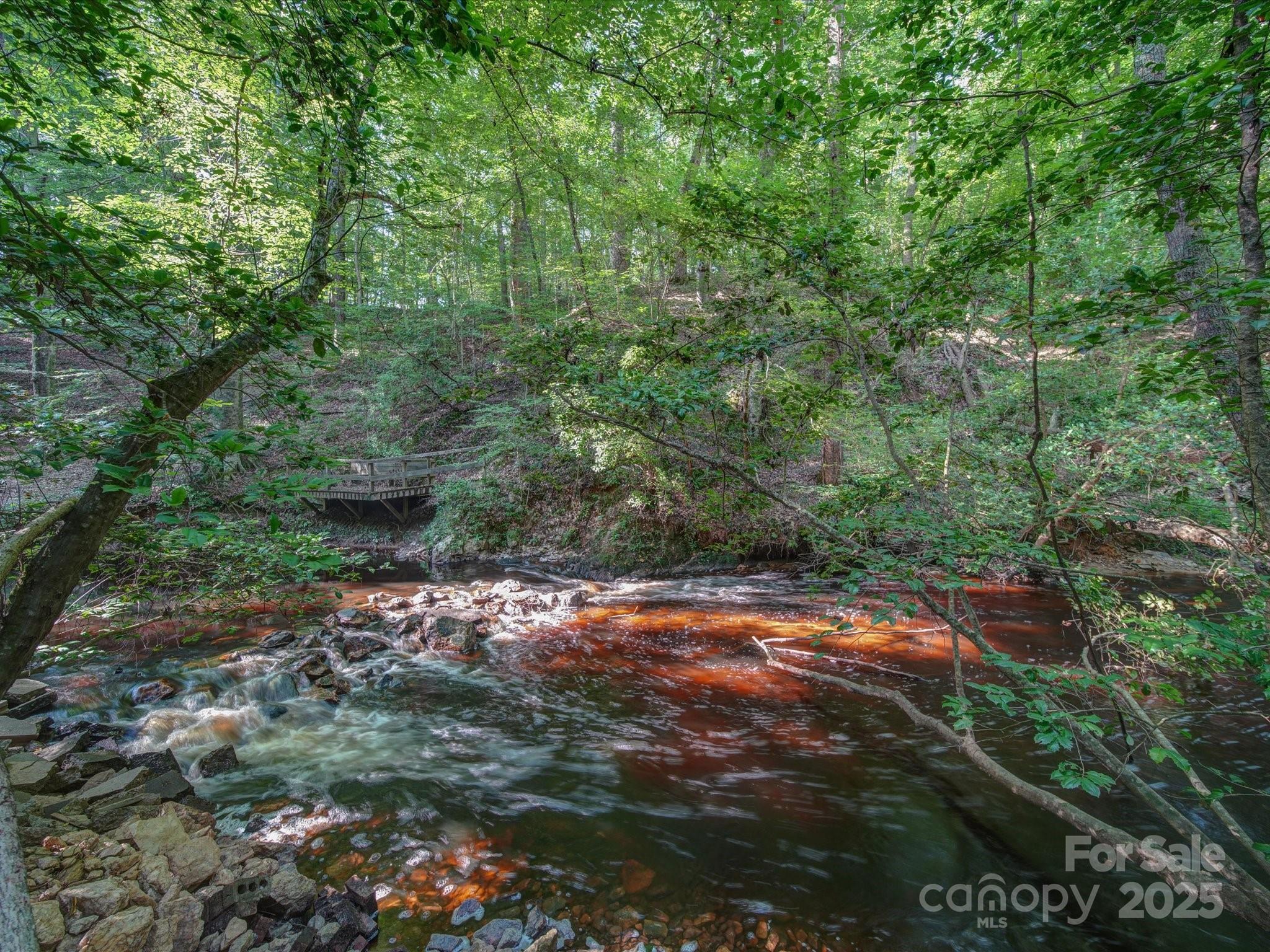 1239 John G Richards Road Property Photo 2