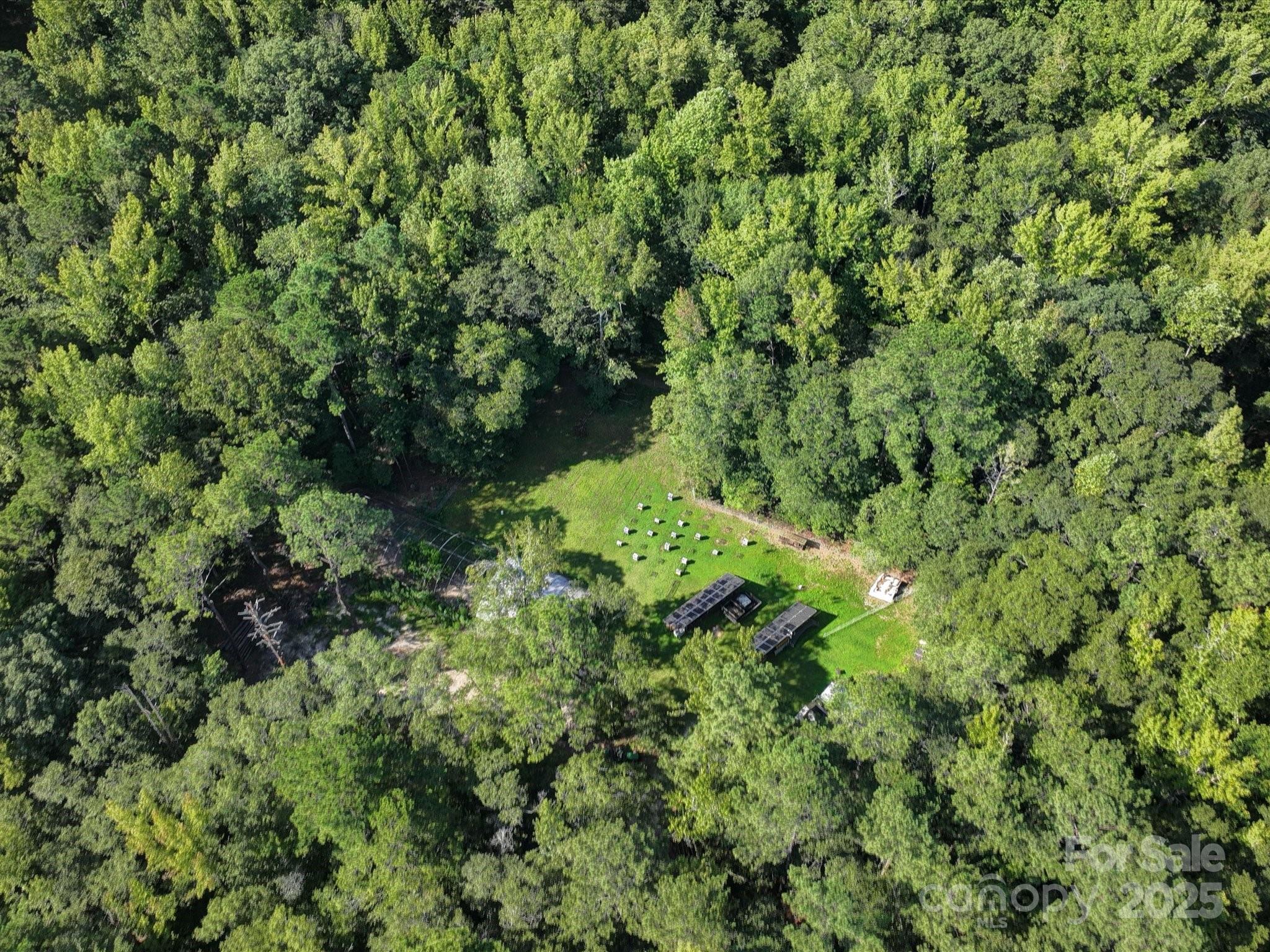 1239 John G Richards Road Property Photo 36