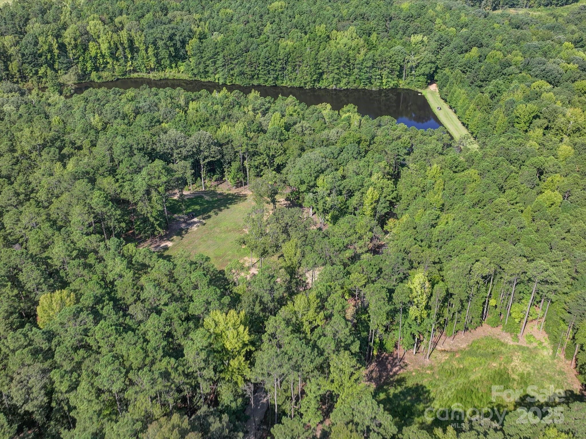 1239 John G Richards Road Property Photo 38