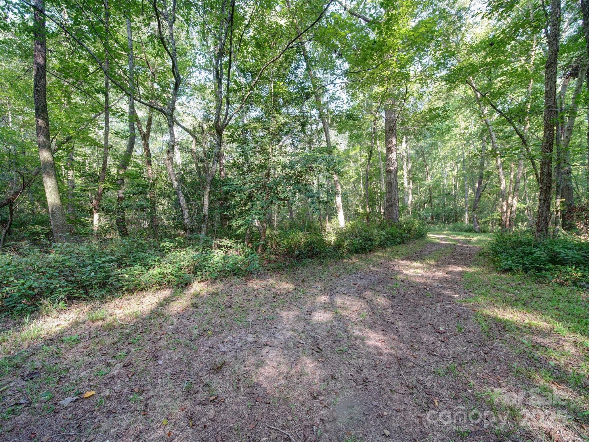 1239 John G Richards Road Property Photo 43