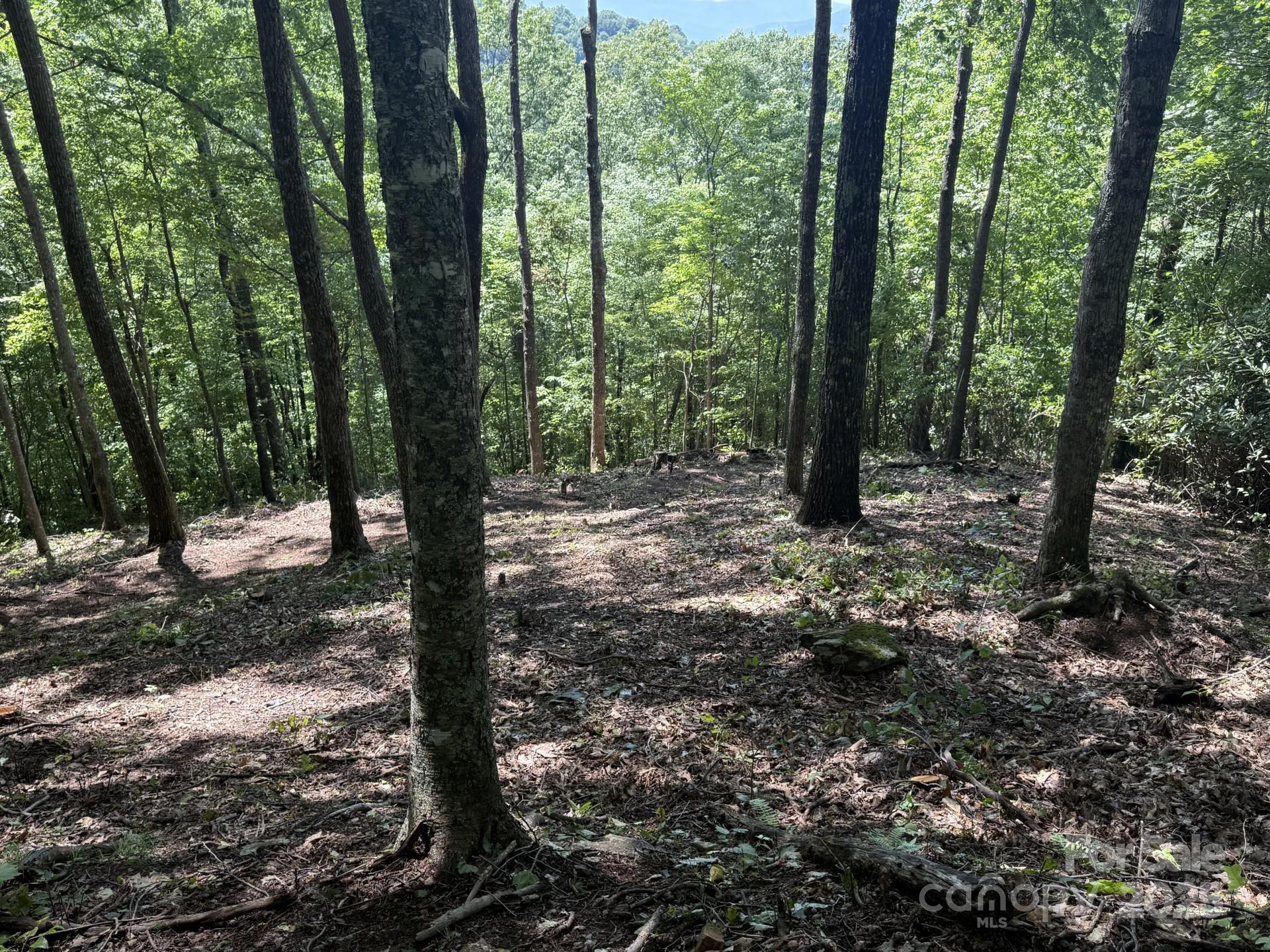 Lt 176 E Reach Road 176 Property Photo 2
