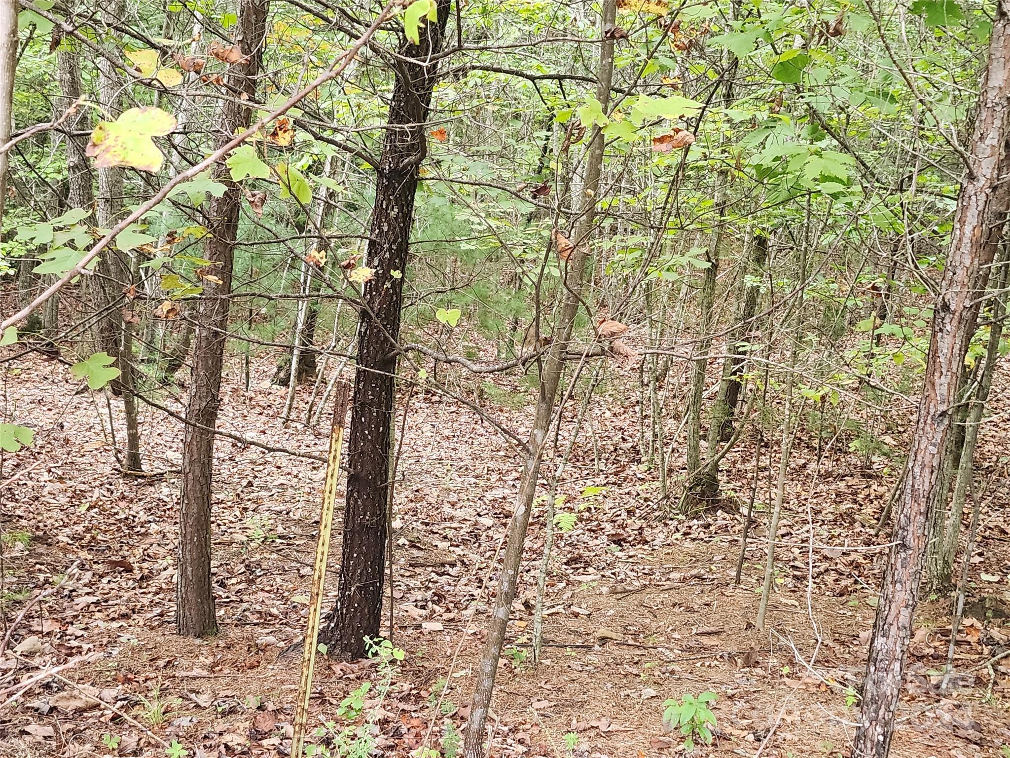 Lot 104 Boysenberry Drive Property Photo 3