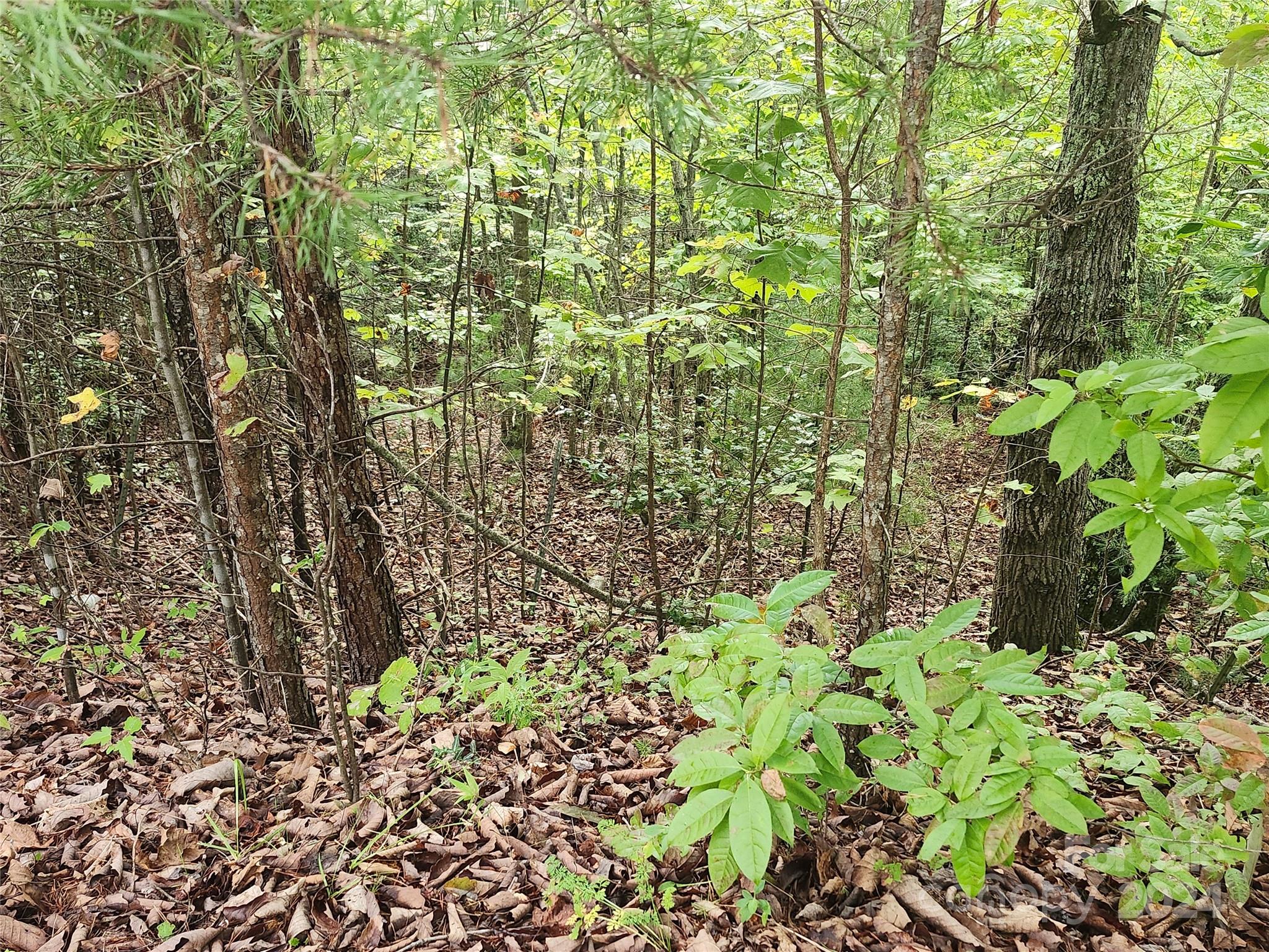 Lot 104 Boysenberry Drive Property Photo 4