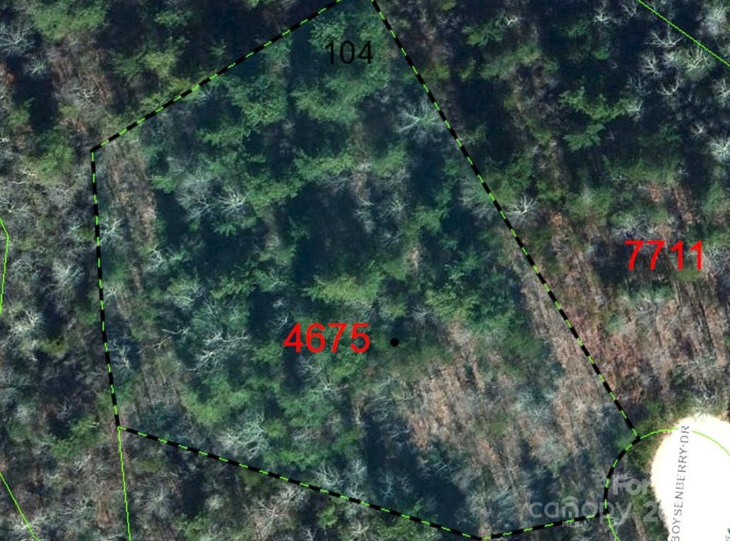 Lot 104 Boysenberry Drive Property Photo 6