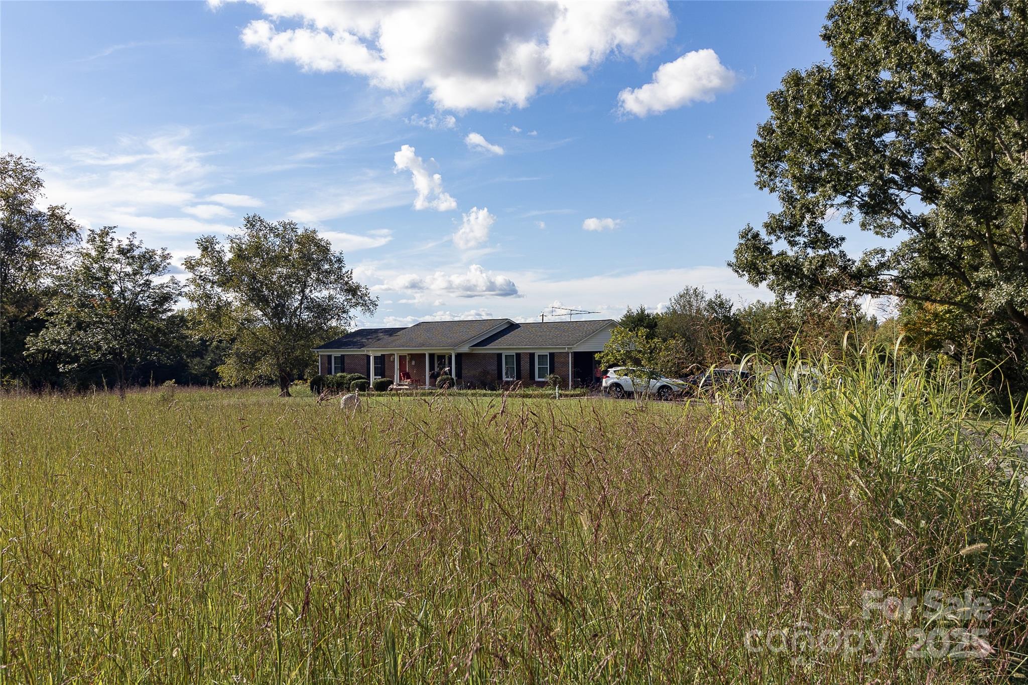535 Holly Ridge Road Property Photo 35