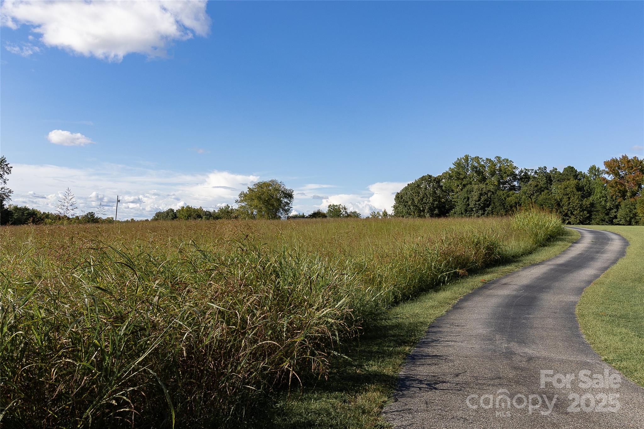 535 Holly Ridge Road Property Photo 38