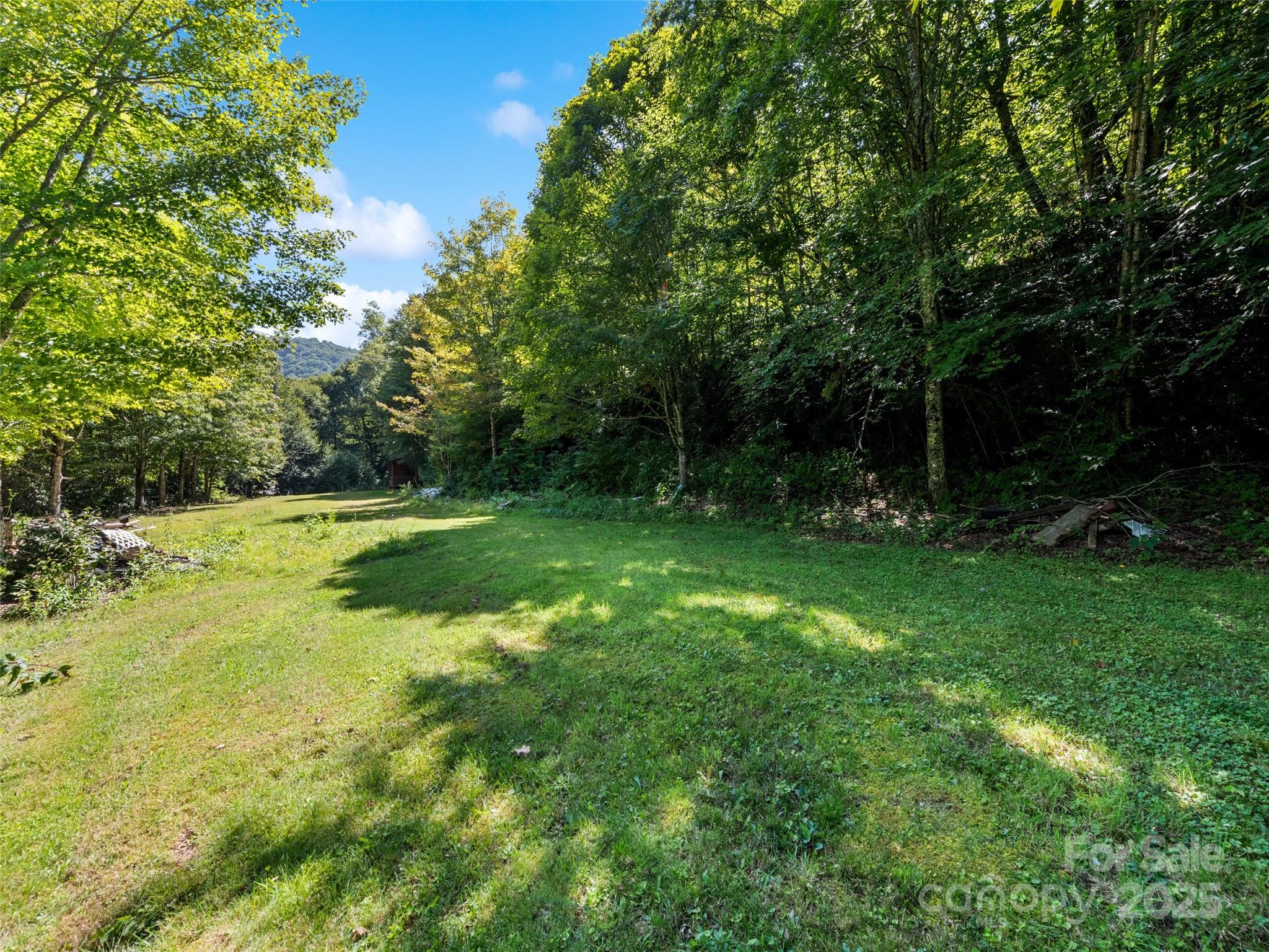 4 & 20 Plott Balsam Road Property Photo 5