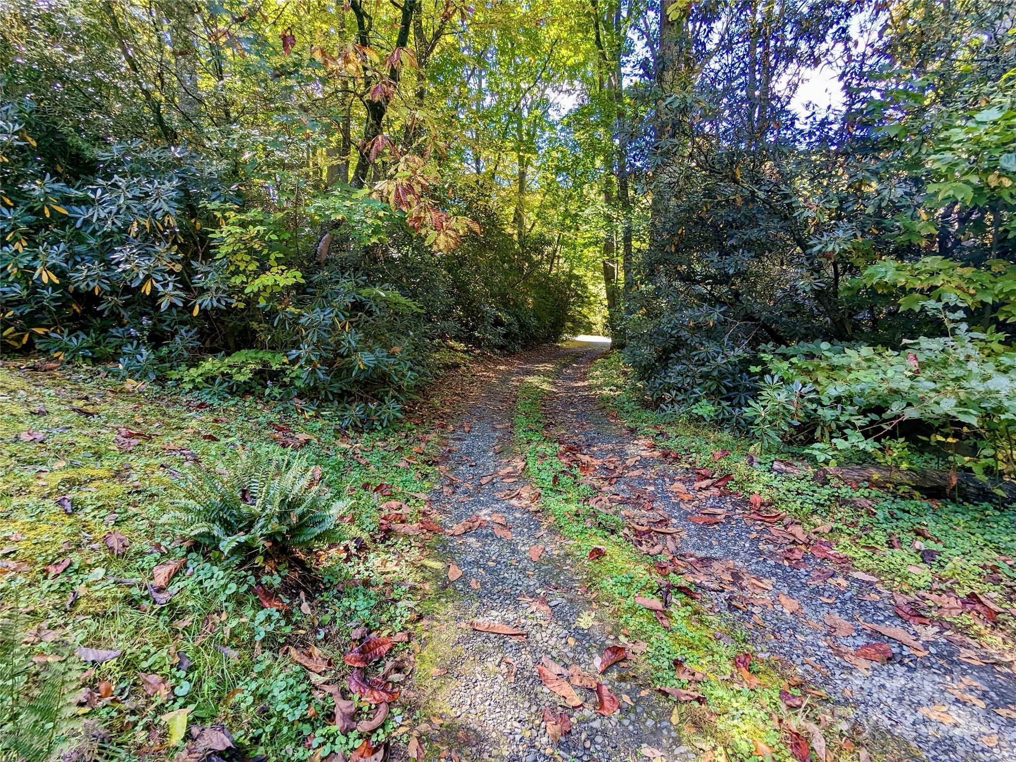 46 Tree Farm Road Property Photo 32