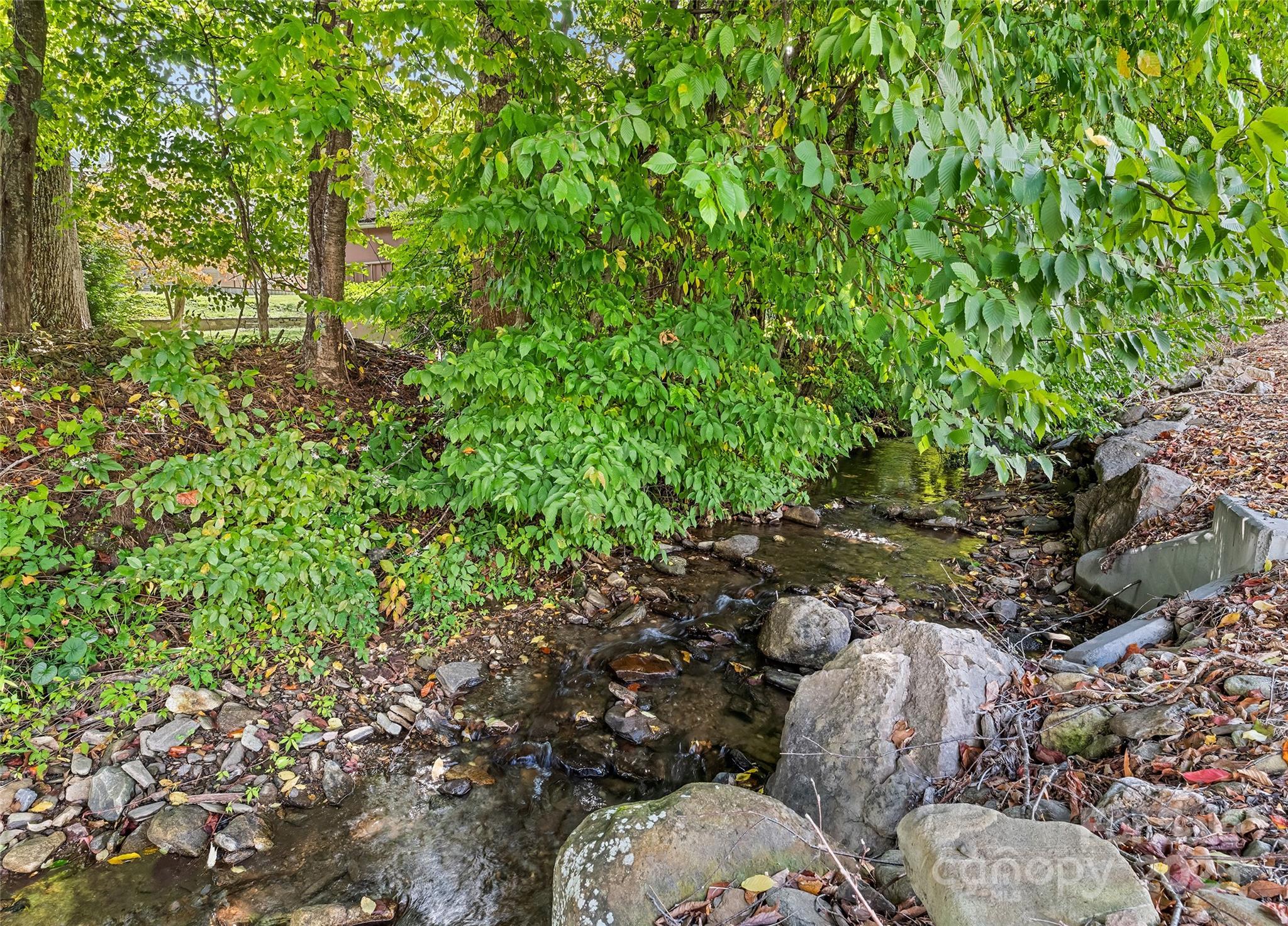 38 Timberline Drive Property Photo 46
