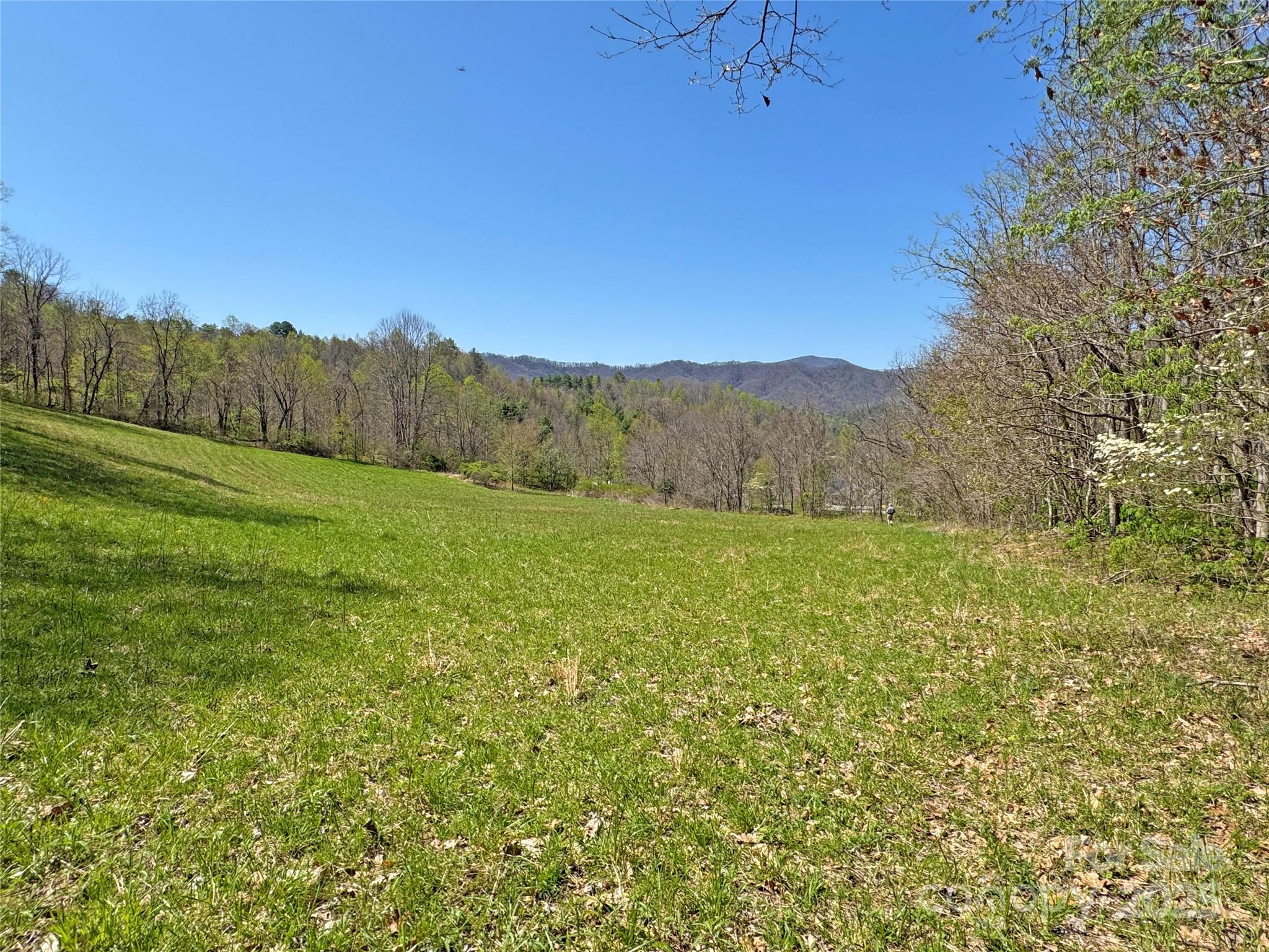 Tbd Baltimore Branch Road Property Photo 3
