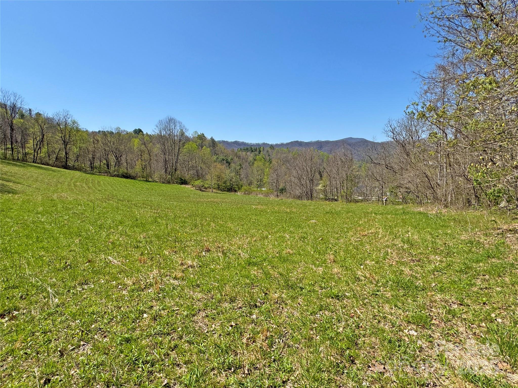 Tbd Baltimore Branch Road Property Photo 6