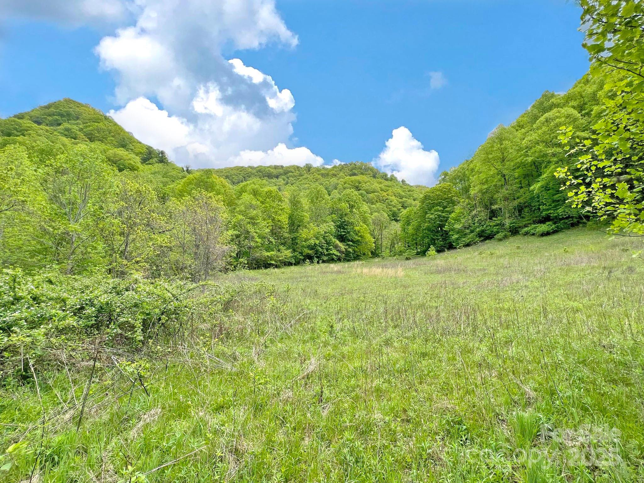Tbd Baltimore Branch Road Property Photo 11