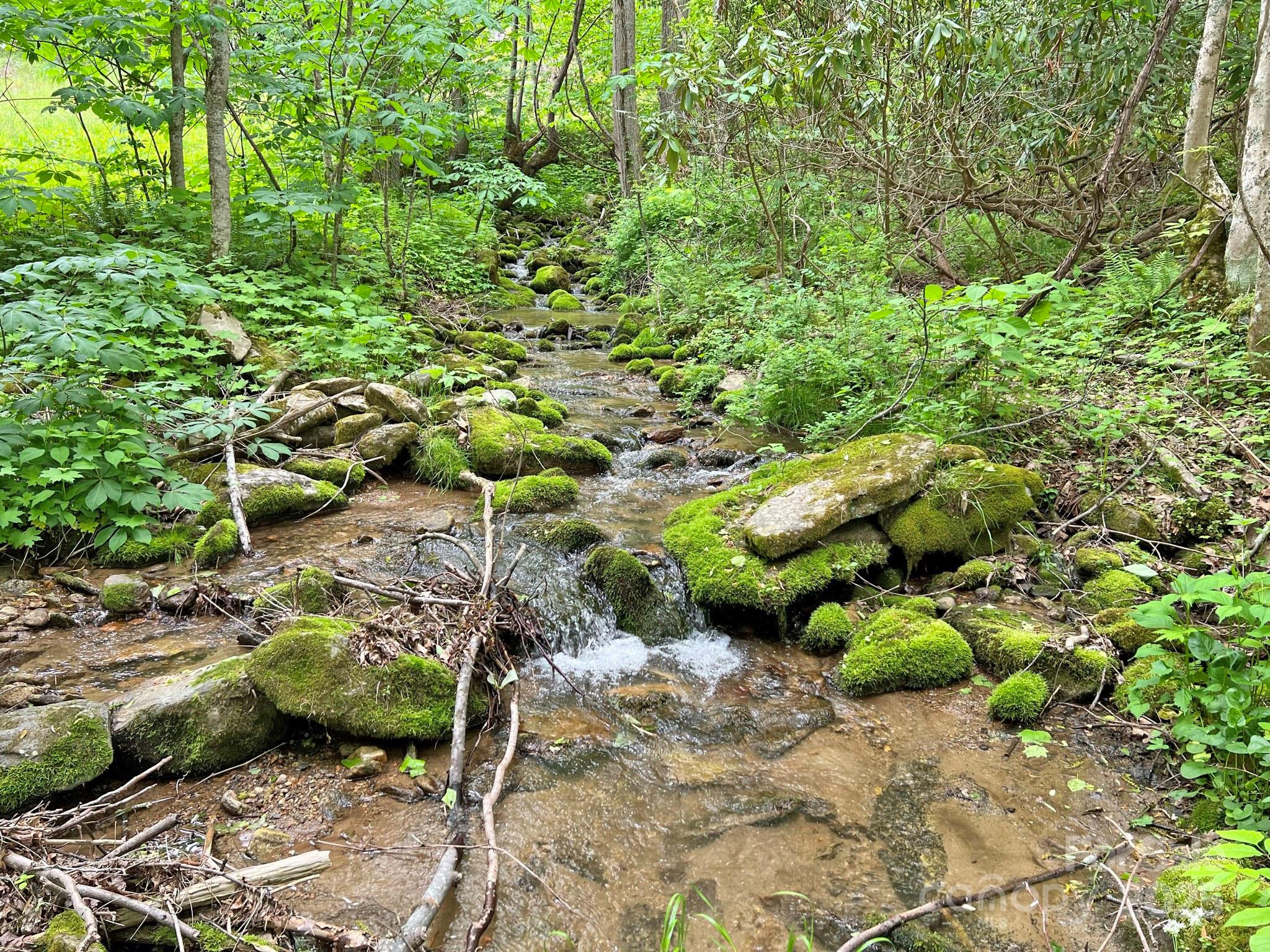 Tbd Baltimore Branch Road Property Photo 12