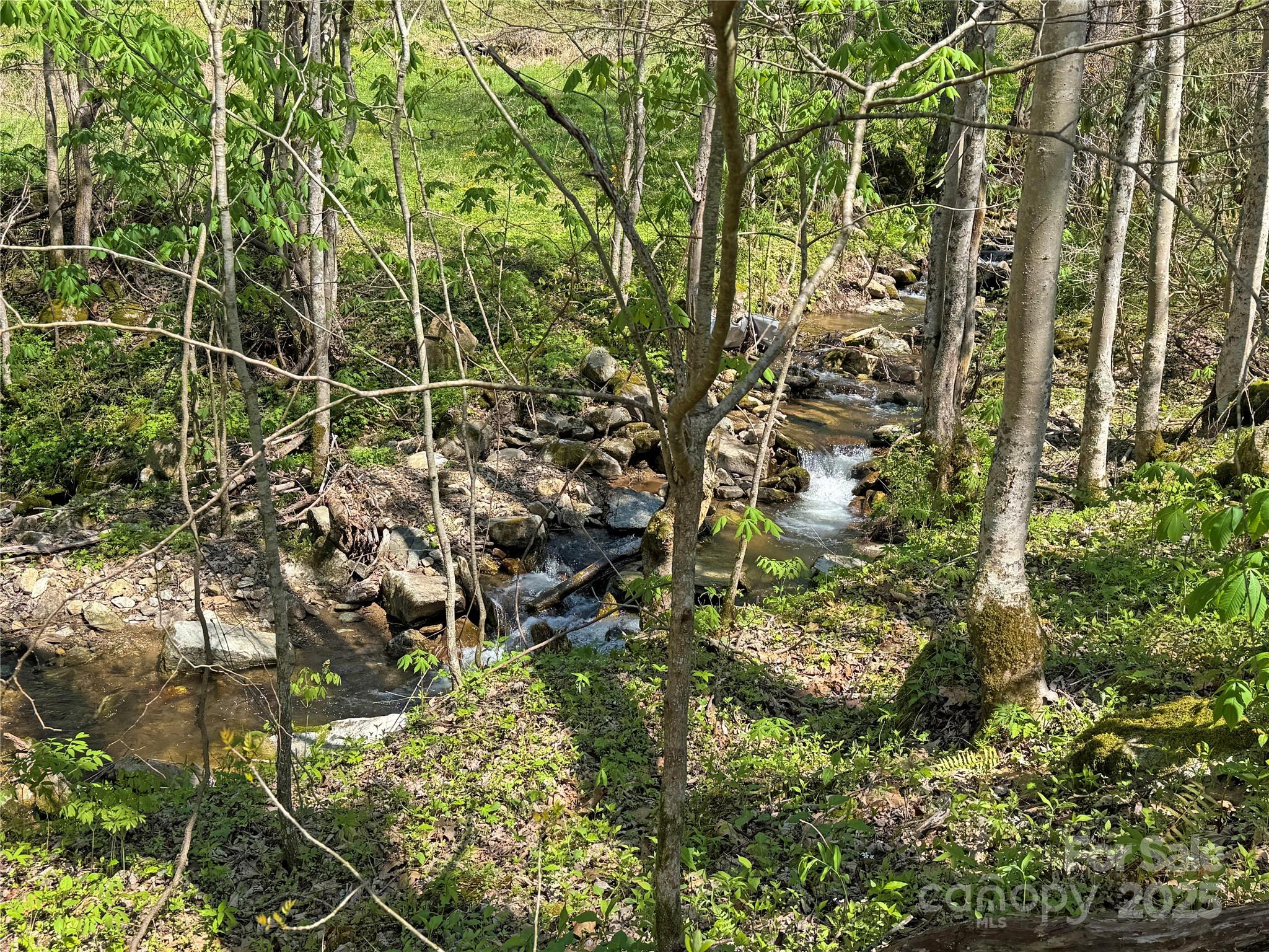 Tbd Baltimore Branch Road Property Photo 13