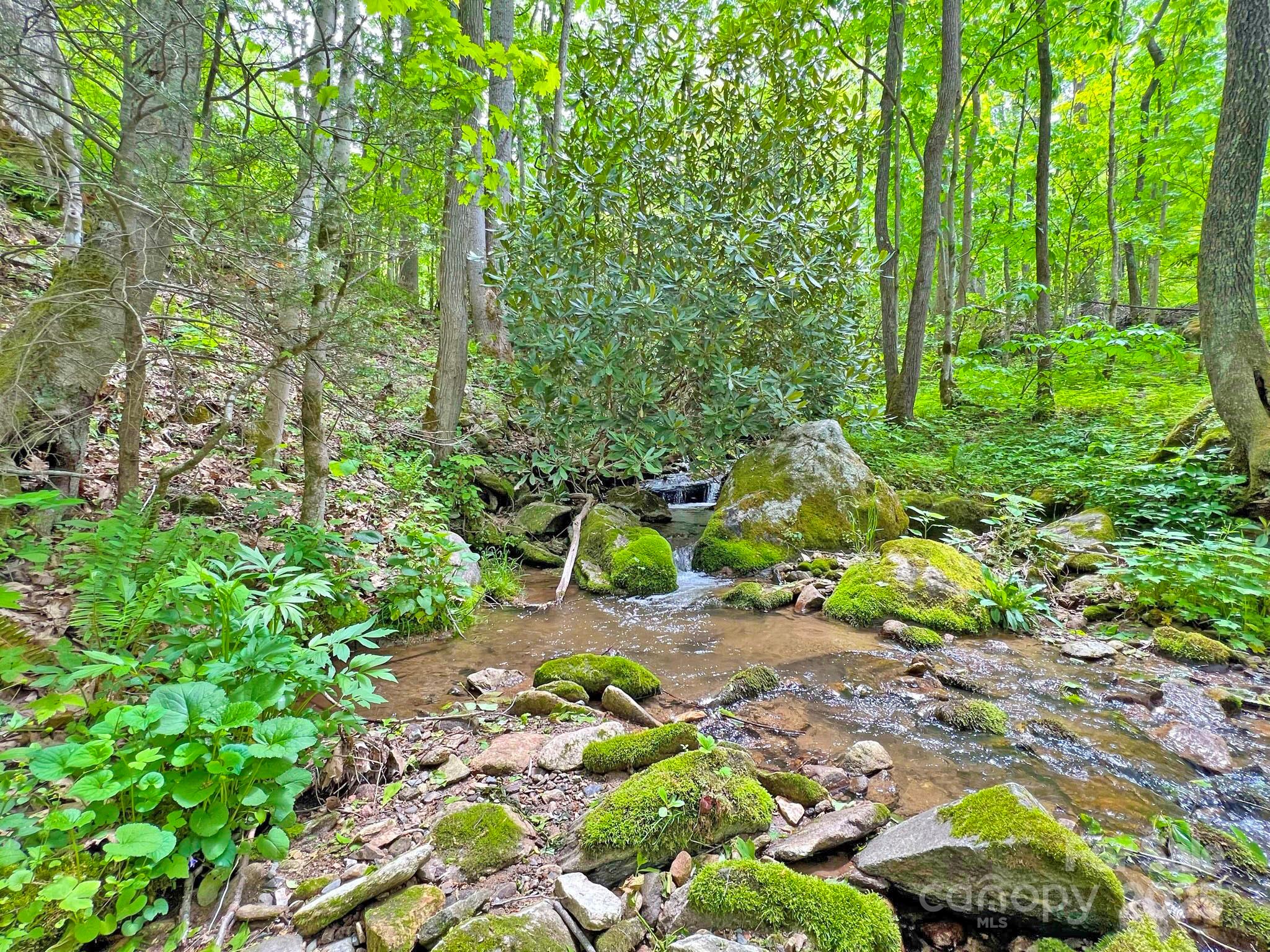 Tbd Baltimore Branch Road Property Photo 14