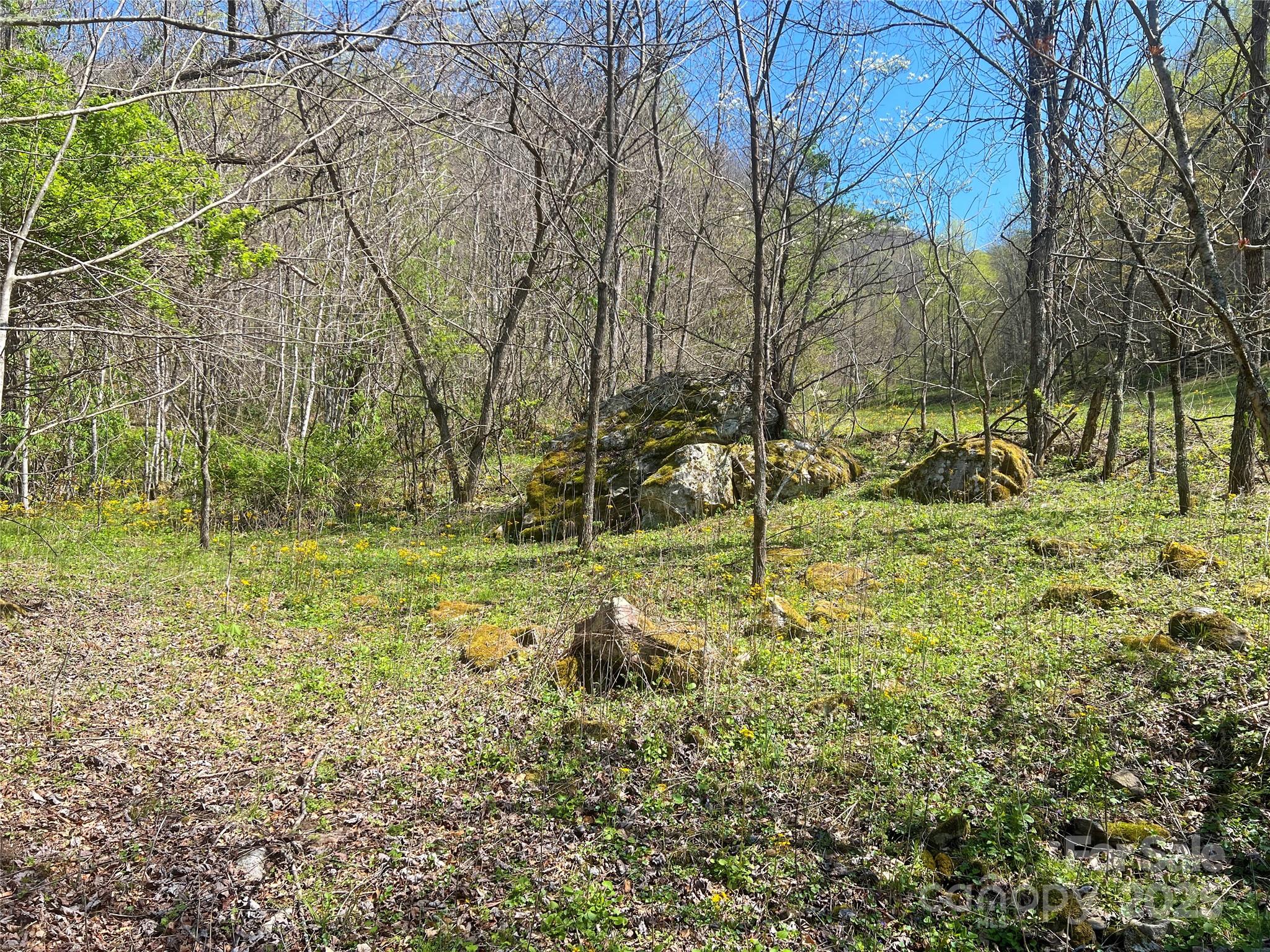 Tbd Baltimore Branch Road Property Photo 16