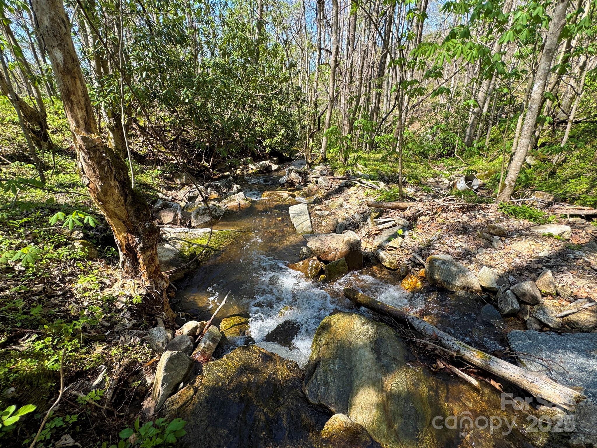 Tbd Baltimore Branch Road Property Photo 18