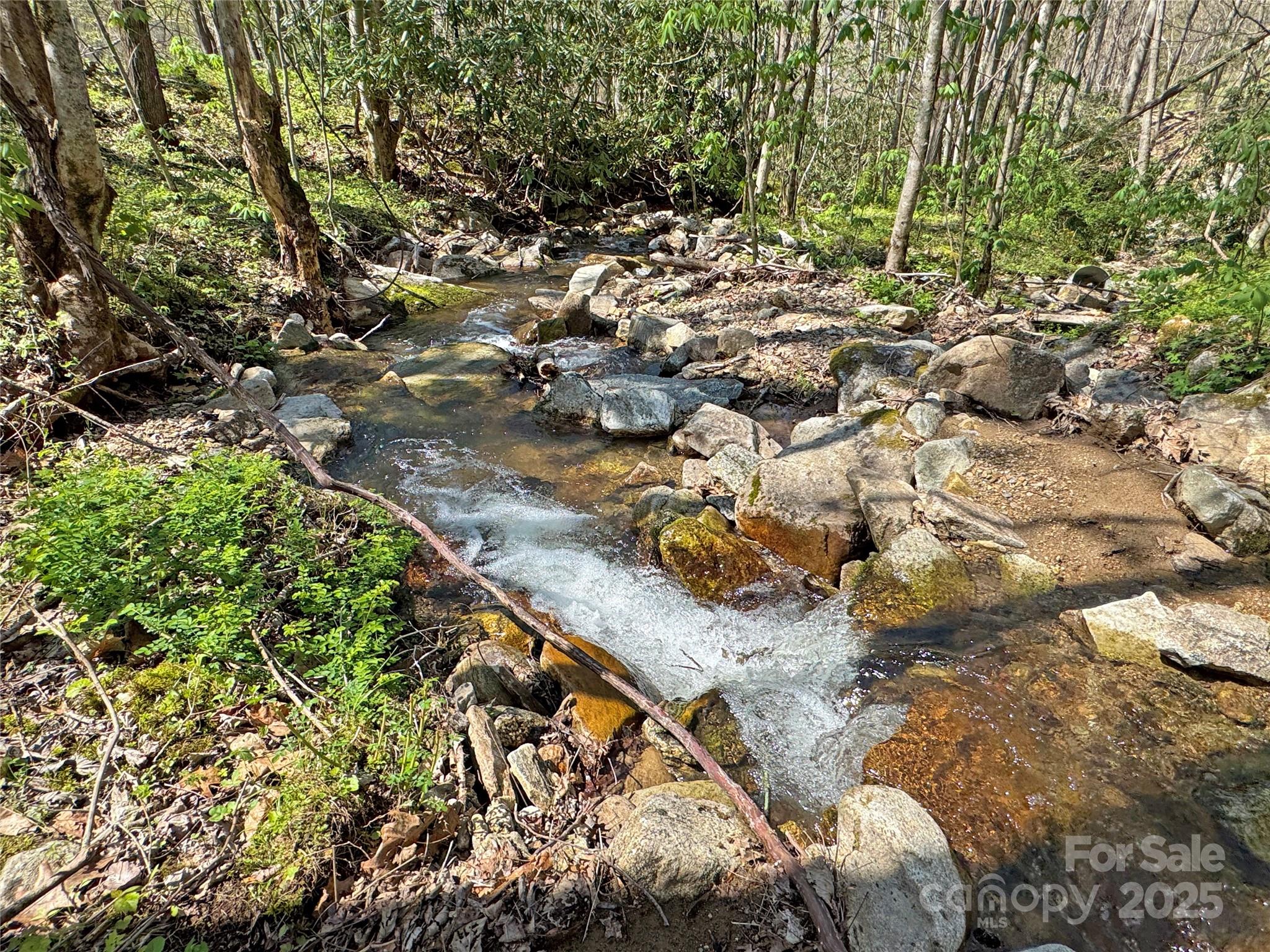 Tbd Baltimore Branch Road Property Photo 19