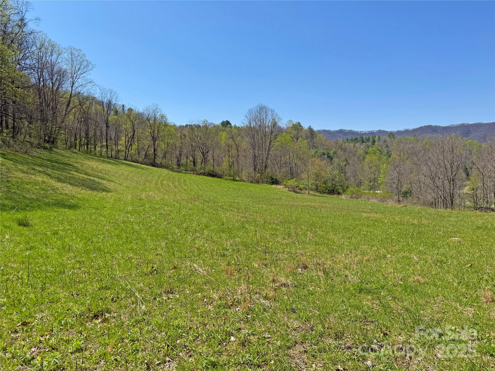 Tbd Baltimore Branch Road Property Photo 20