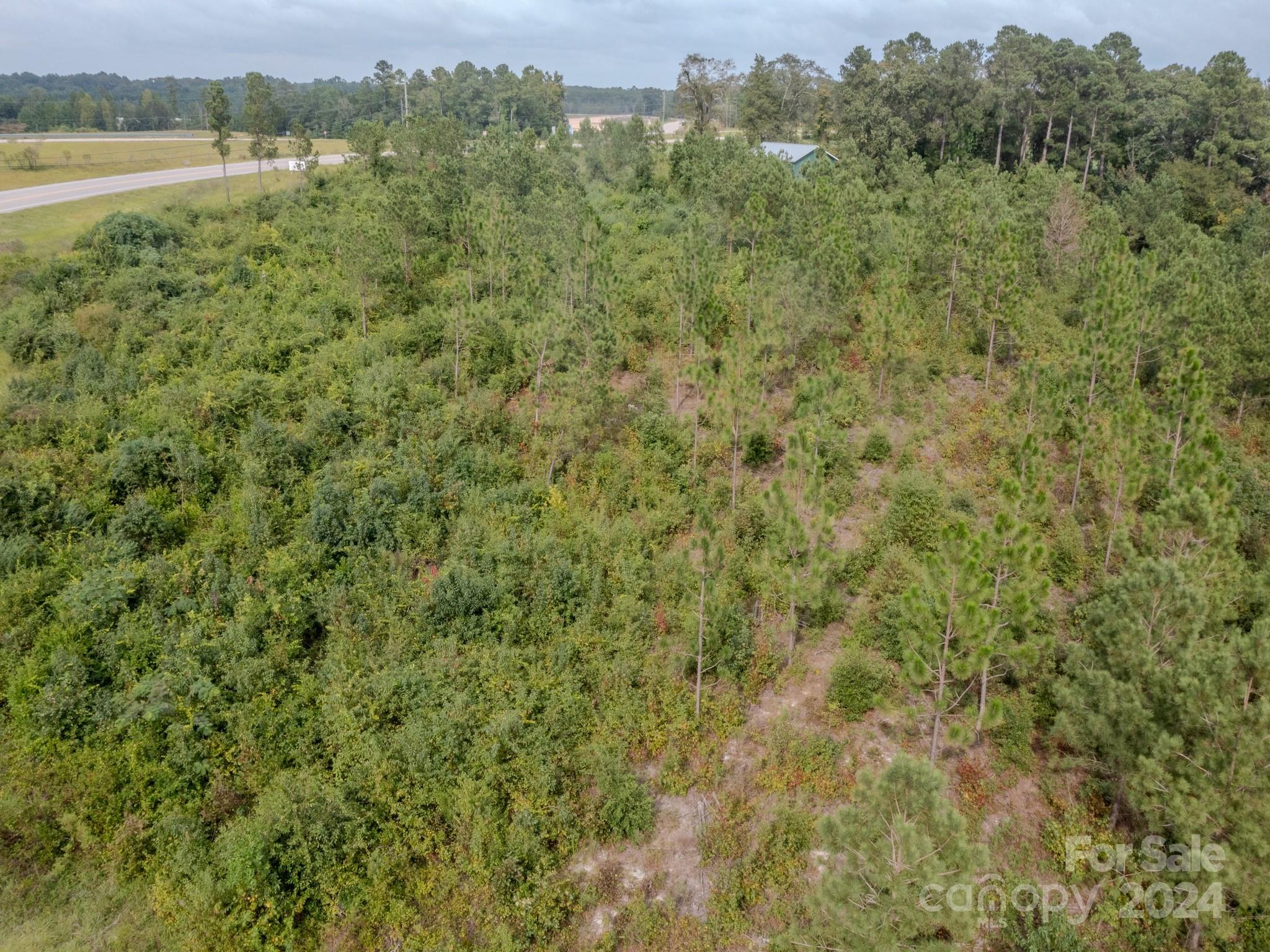 110 Haywood Cemetery Road Property Photo 4