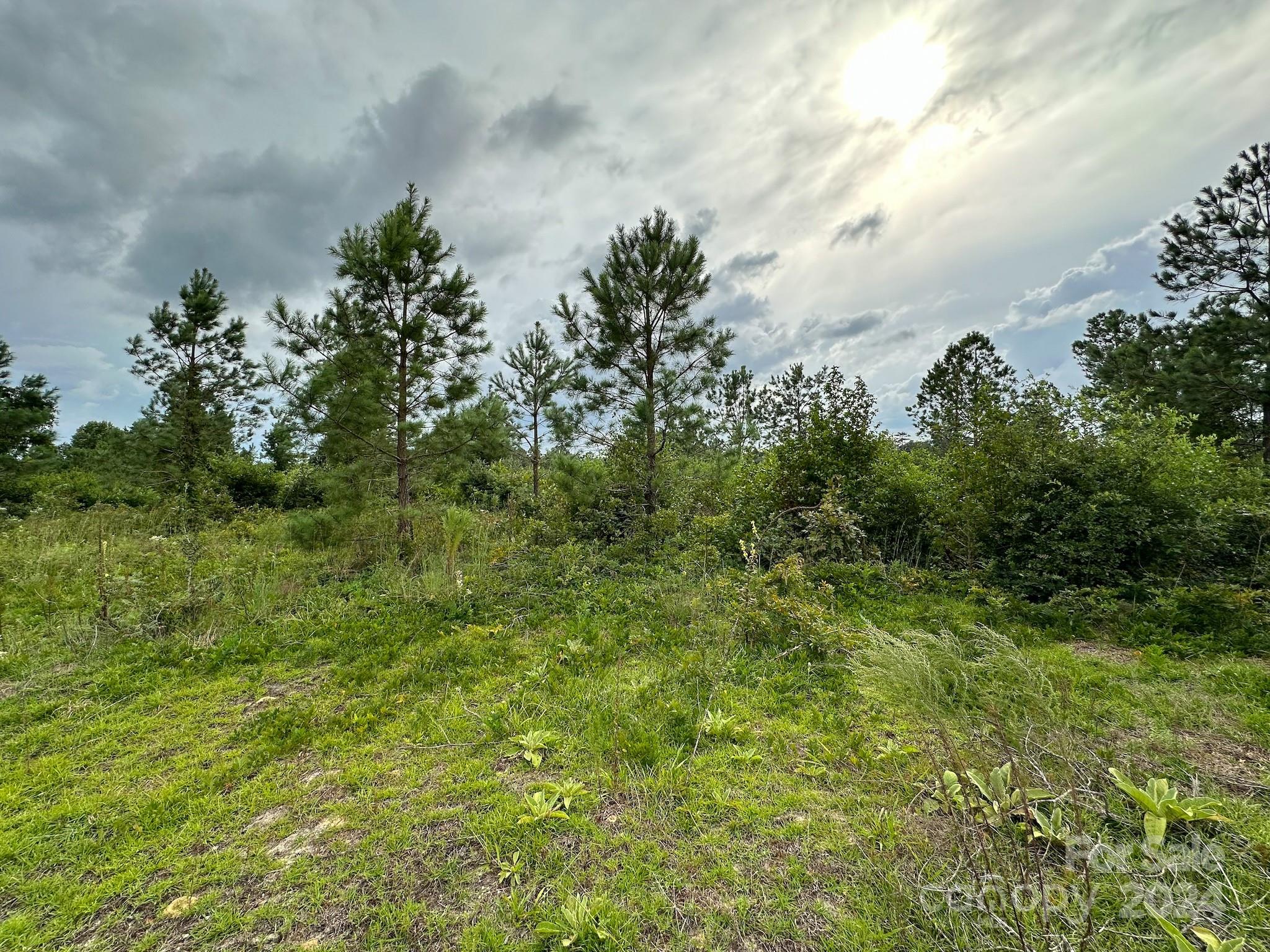 110 Haywood Cemetery Road Property Photo 8