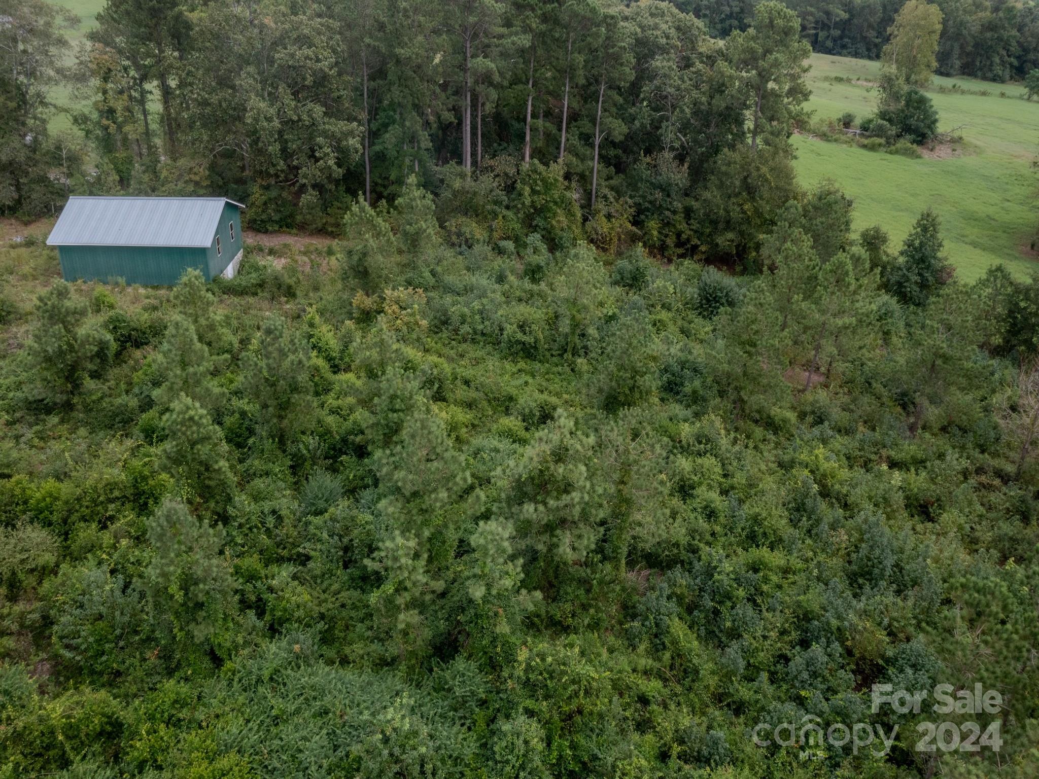 110 Haywood Cemetery Road Property Photo 10