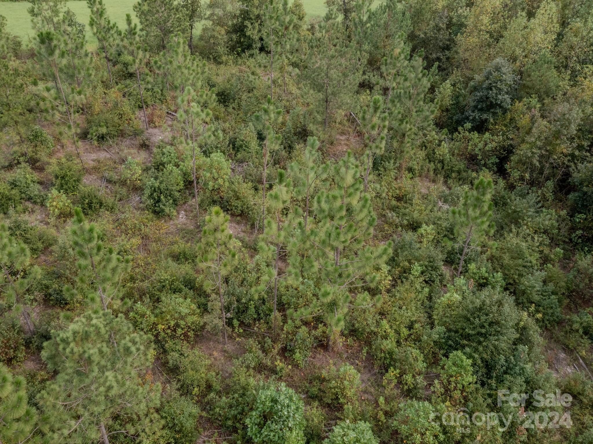 110 Haywood Cemetery Road Property Photo 18