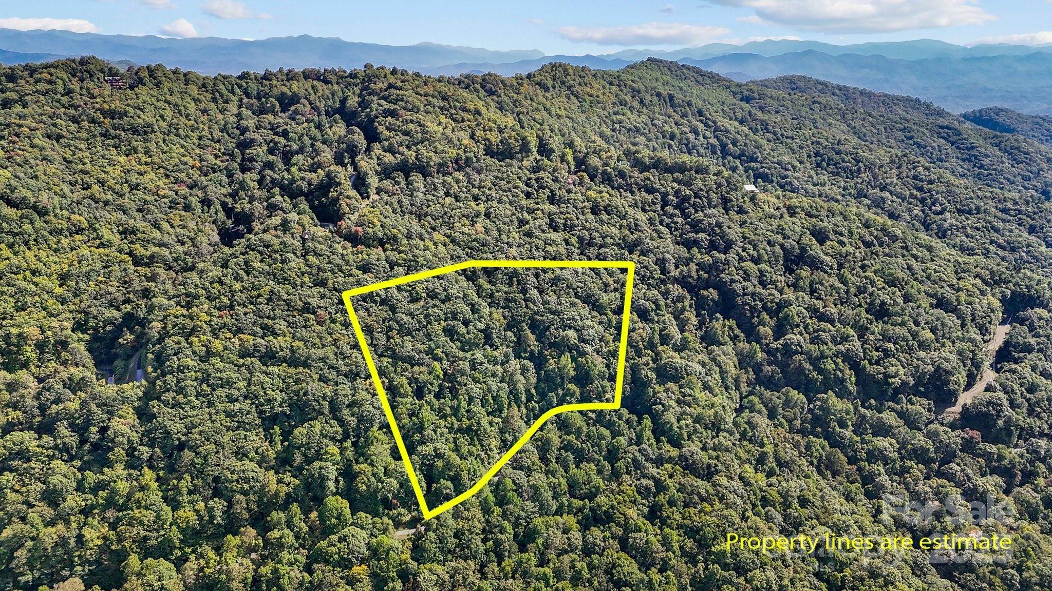 0 Brush Creek Mountain Road 41 Property Photo 1