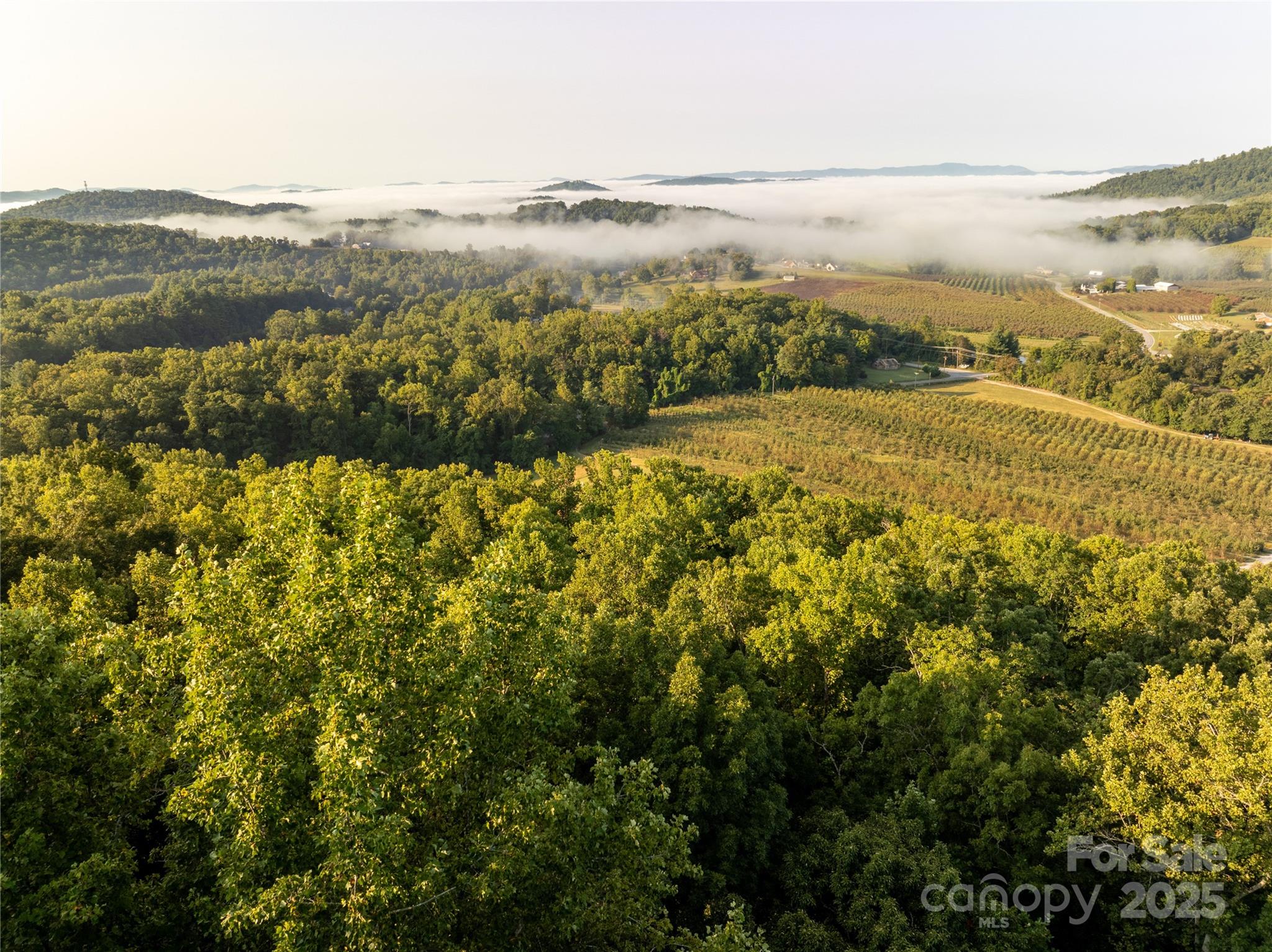 Tbd Old Clear Creek Road Property Photo 6