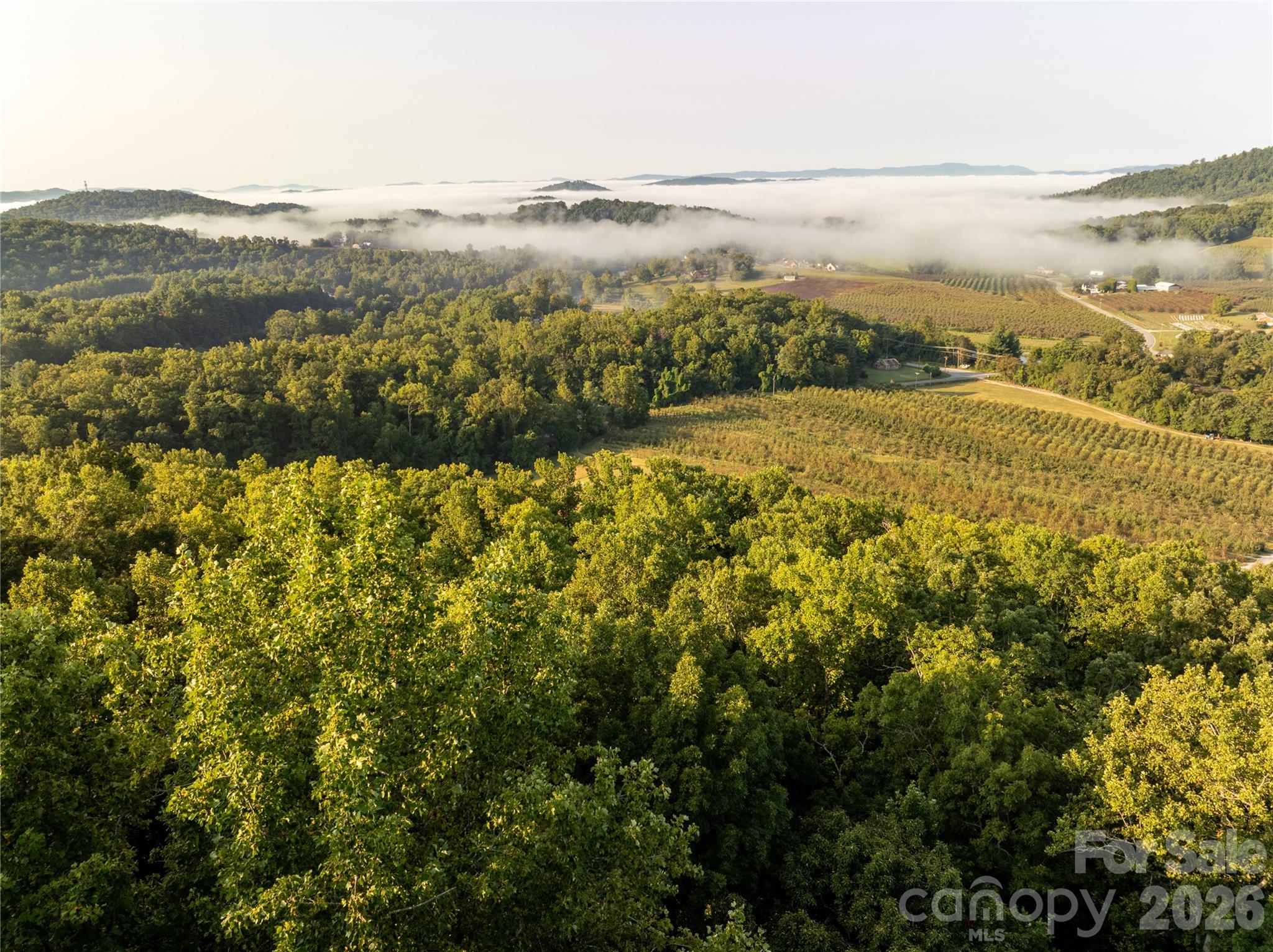 Tbd Old Clear Creek Road Property Photo 7