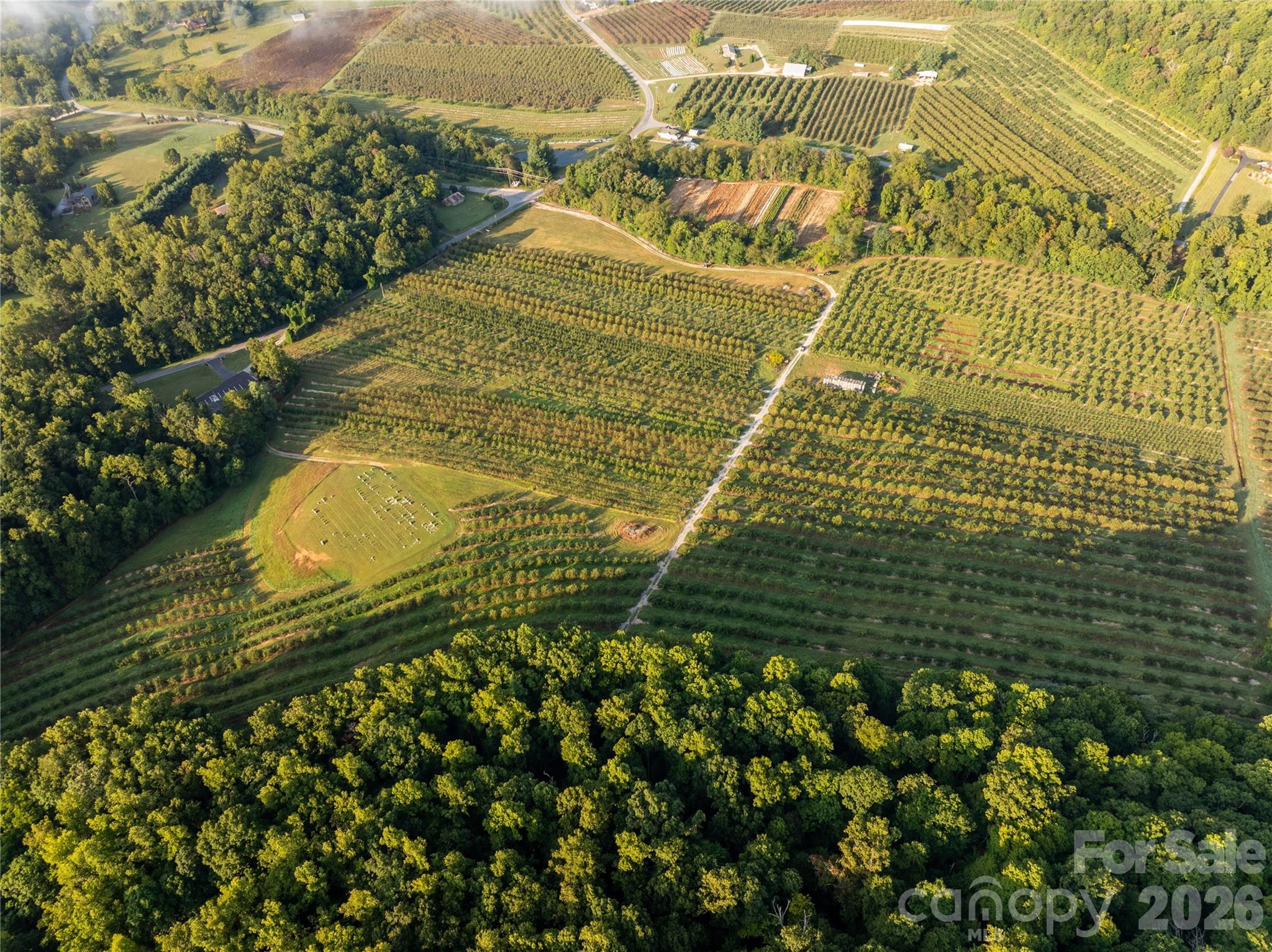 Tbd Old Clear Creek Road Property Photo 8