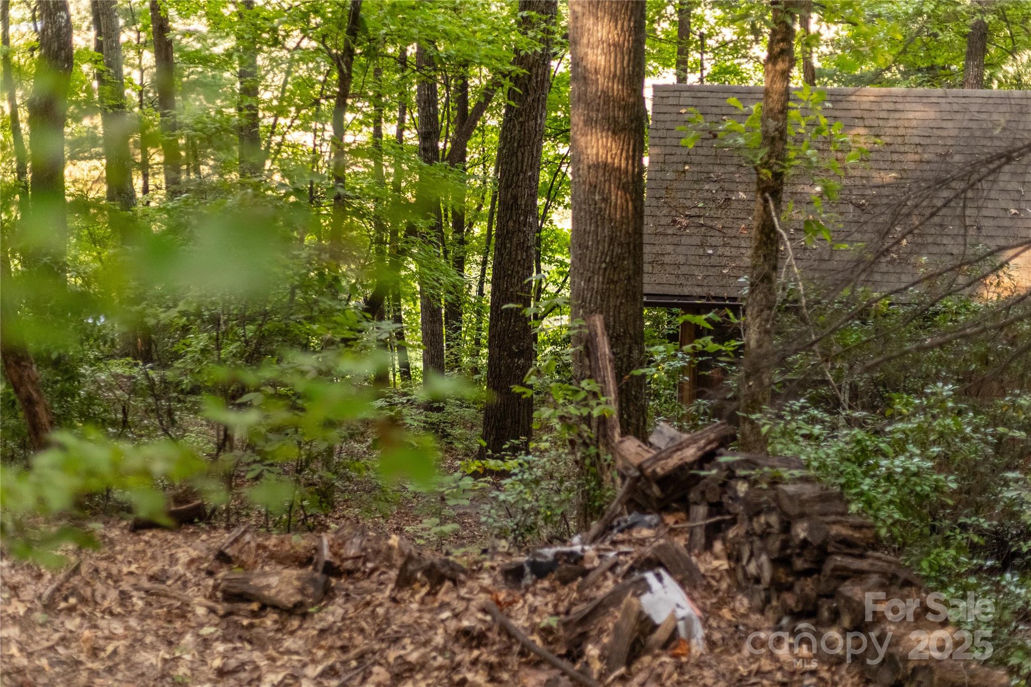 Tbd Old Clear Creek Road Property Photo 15