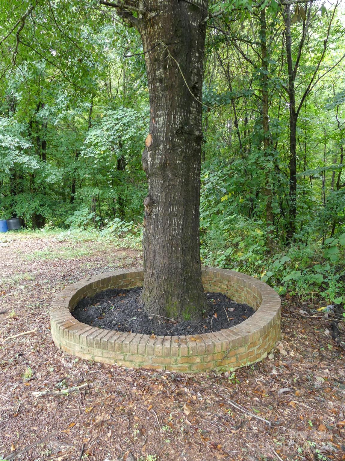 63 Tar Heel Lane Property Photo 13