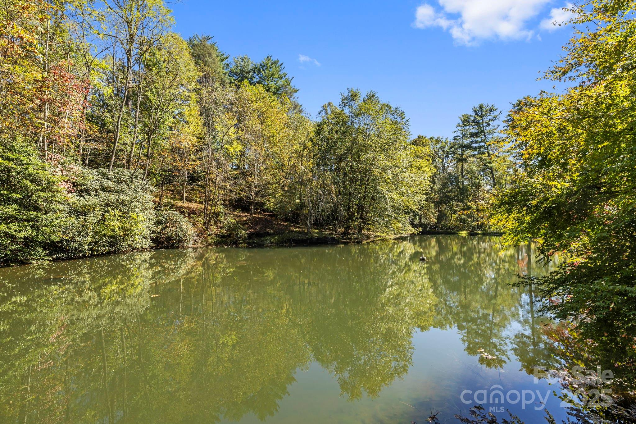 1051 Kim Miller Road Property Photo 5