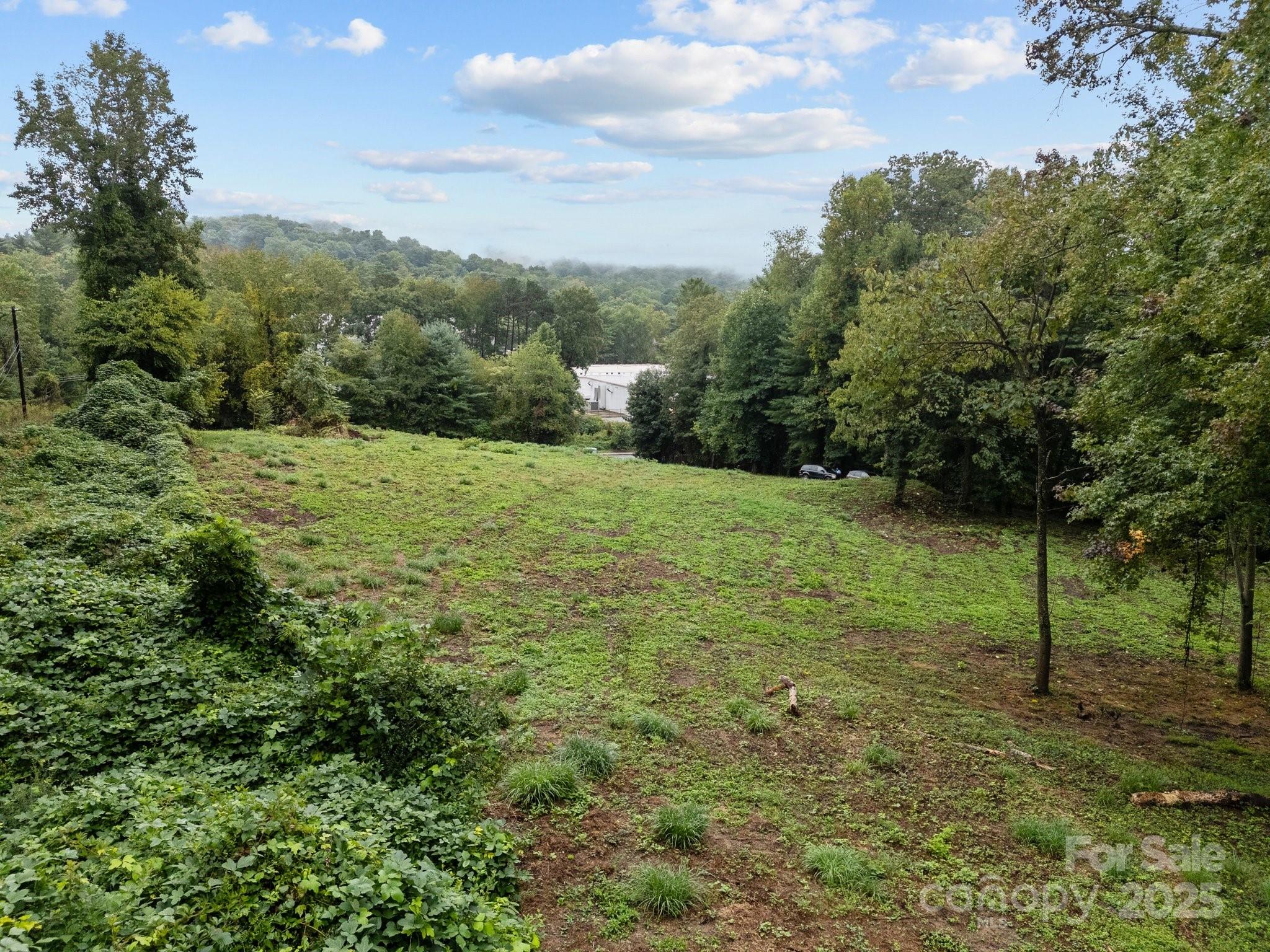 1945 Hendersonville Road Property Photo 7