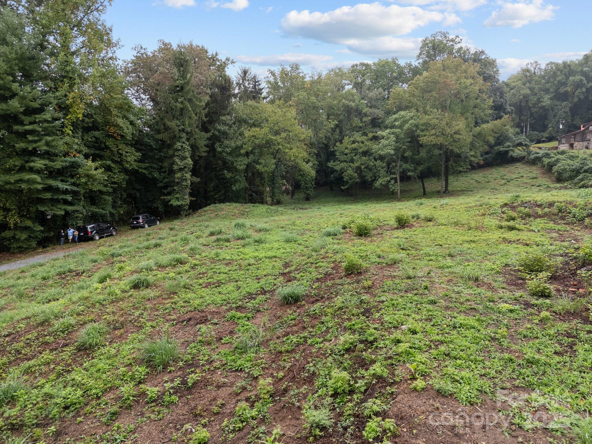 1945 Hendersonville Road Property Photo 8