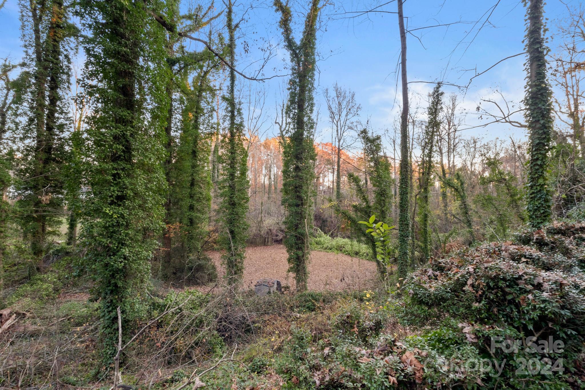 702 Forest Hill Drive Property Photo 44