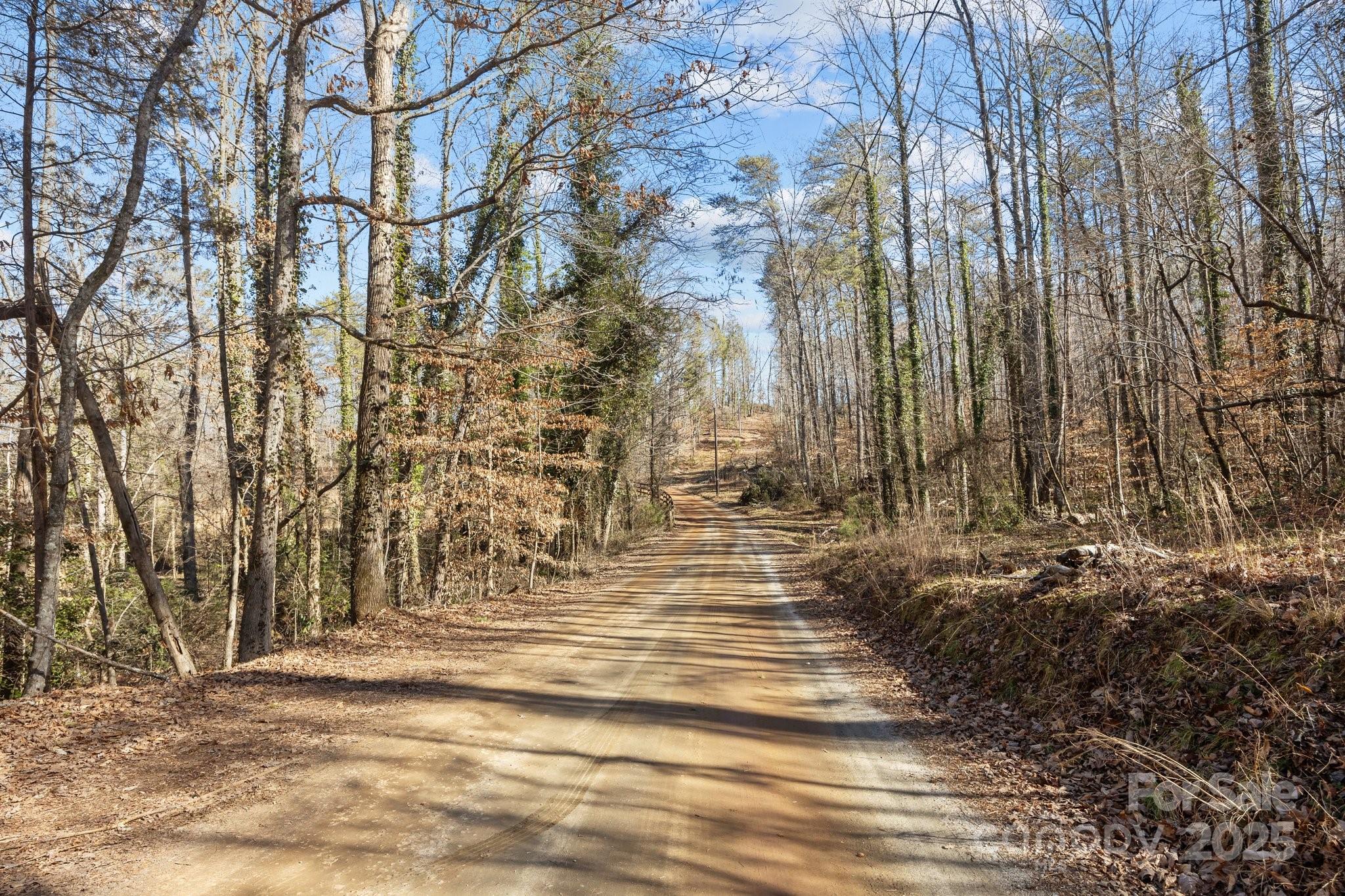 390 Hollow Wood Lane Property Photo 42