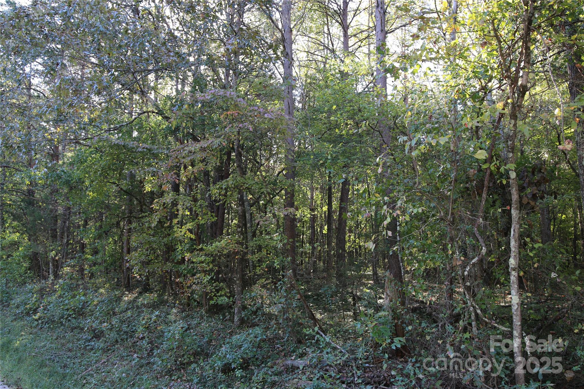 0 Tobas Road Property Photo 1