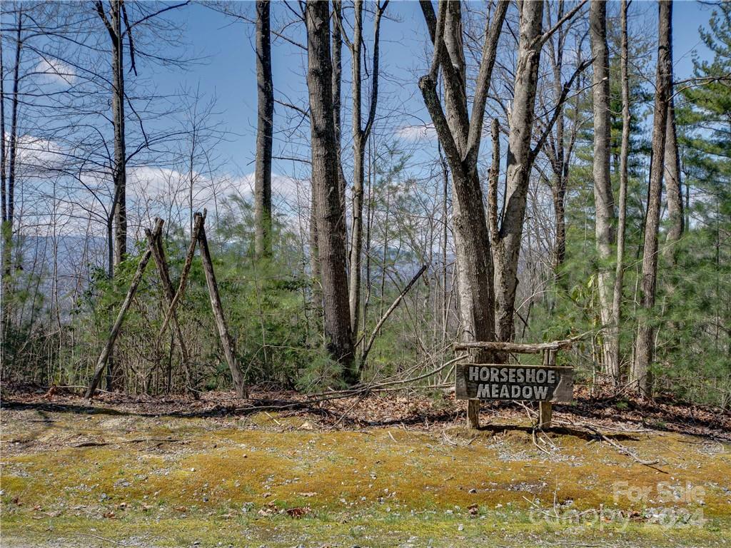 8b Reserve Road Property Photo 2