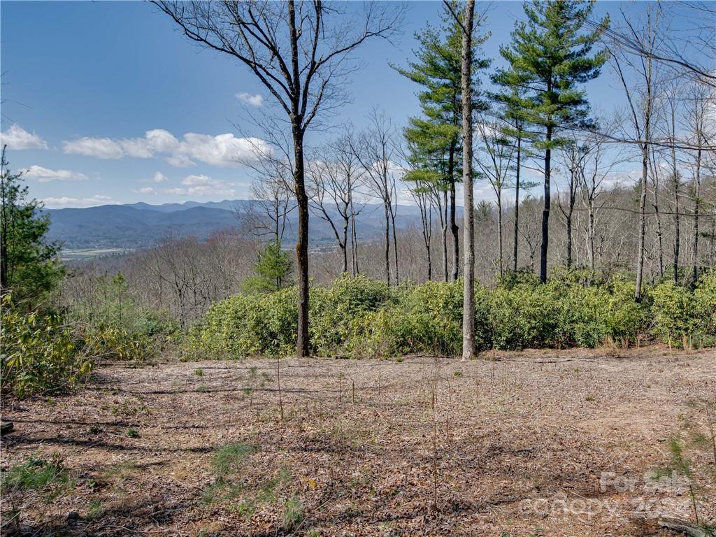 8b Reserve Road Property Photo 3